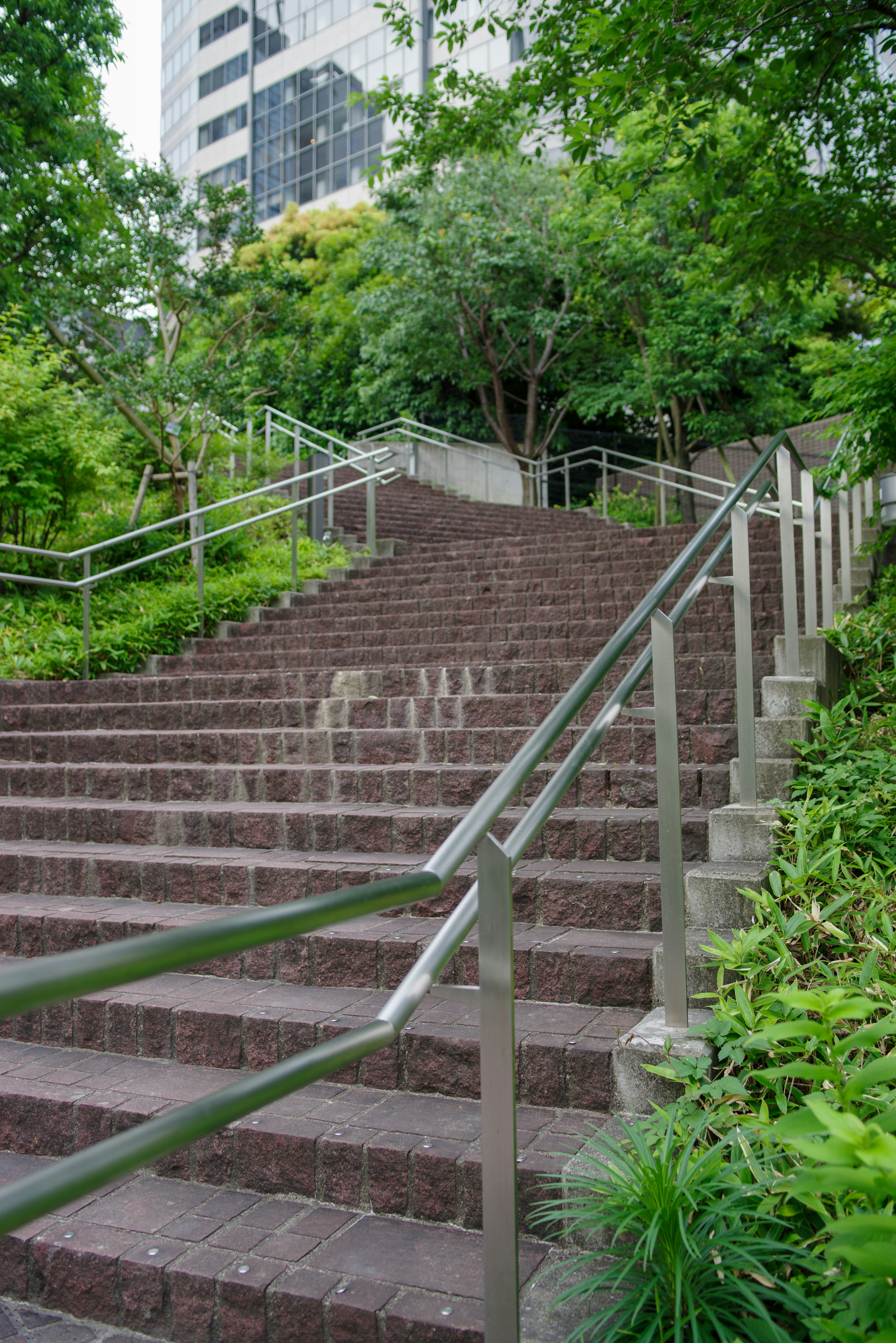 Staircase surrounded by greenery with handrails