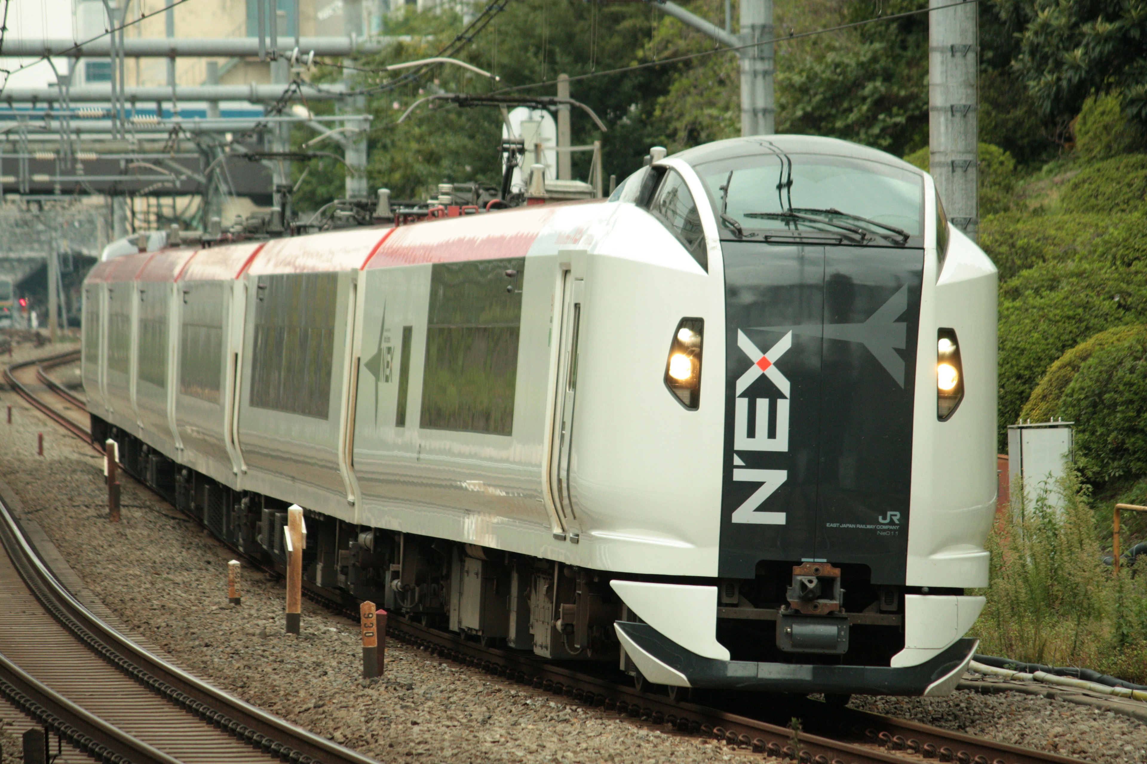 Tren NEX viajando por las vías rodeadas de vegetación