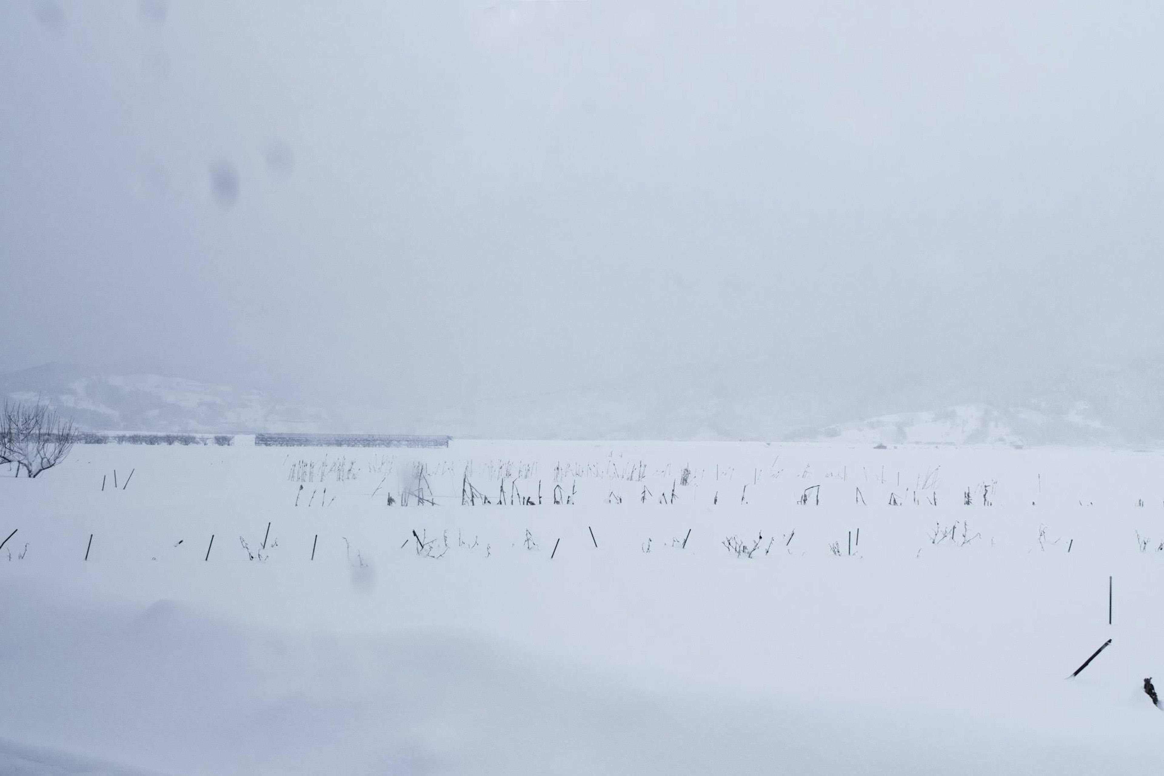 Ampio paesaggio innevato con cielo nuvoloso