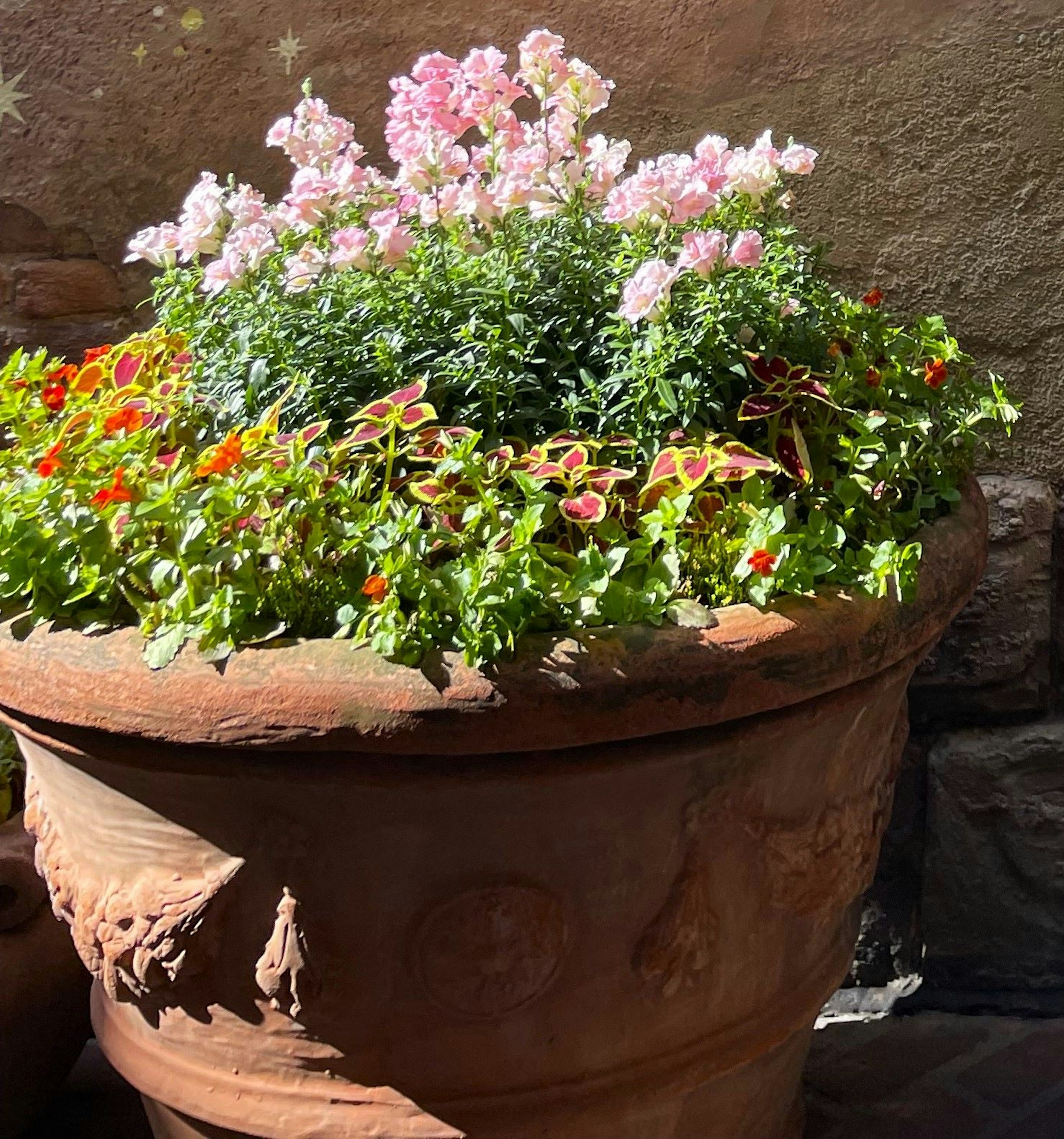 Large flower pot with blooming pink flowers and vibrant greenery