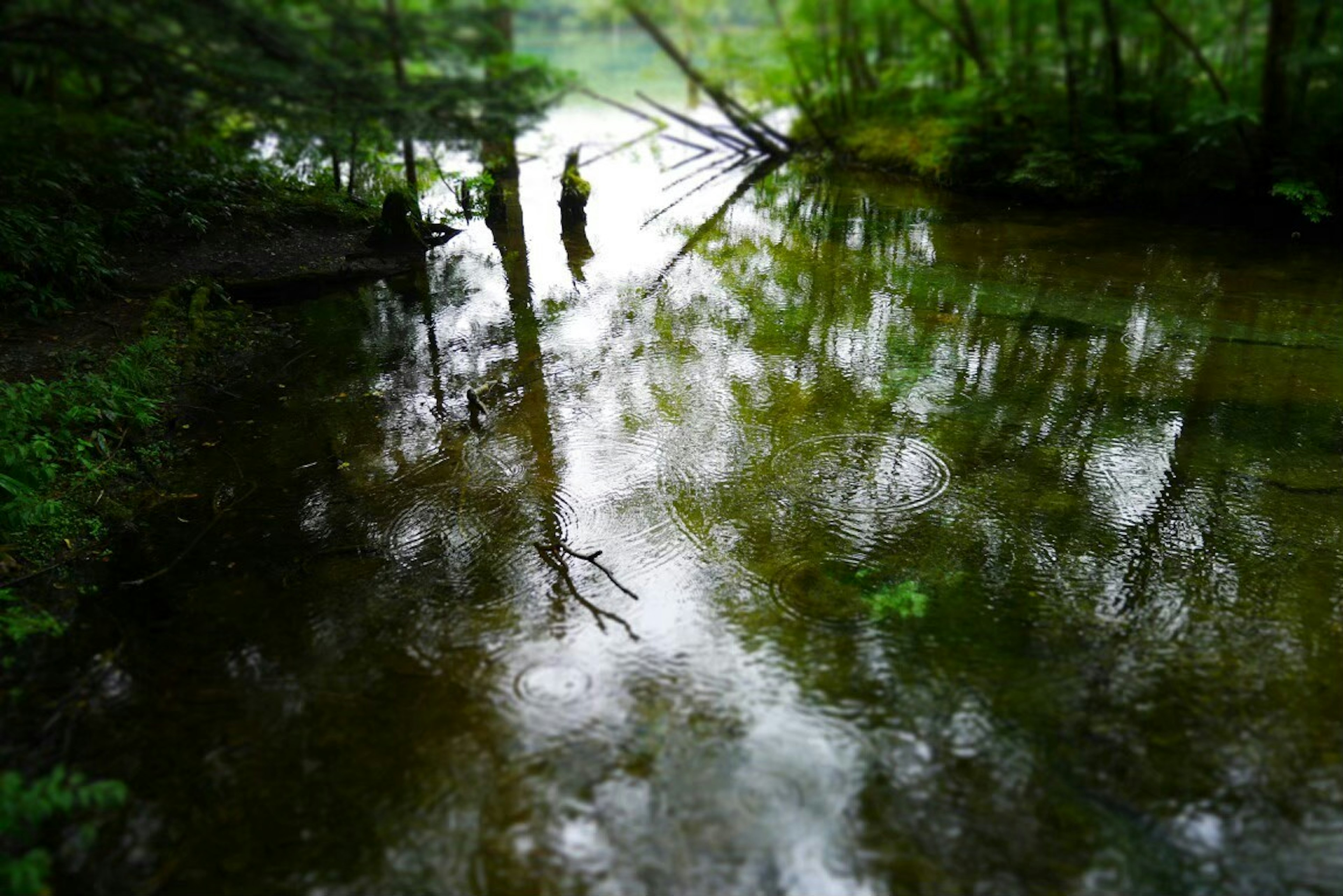 Eine Person, die ruhig in einem ruhigen Fluss fischt, umgeben von üppigem Grün