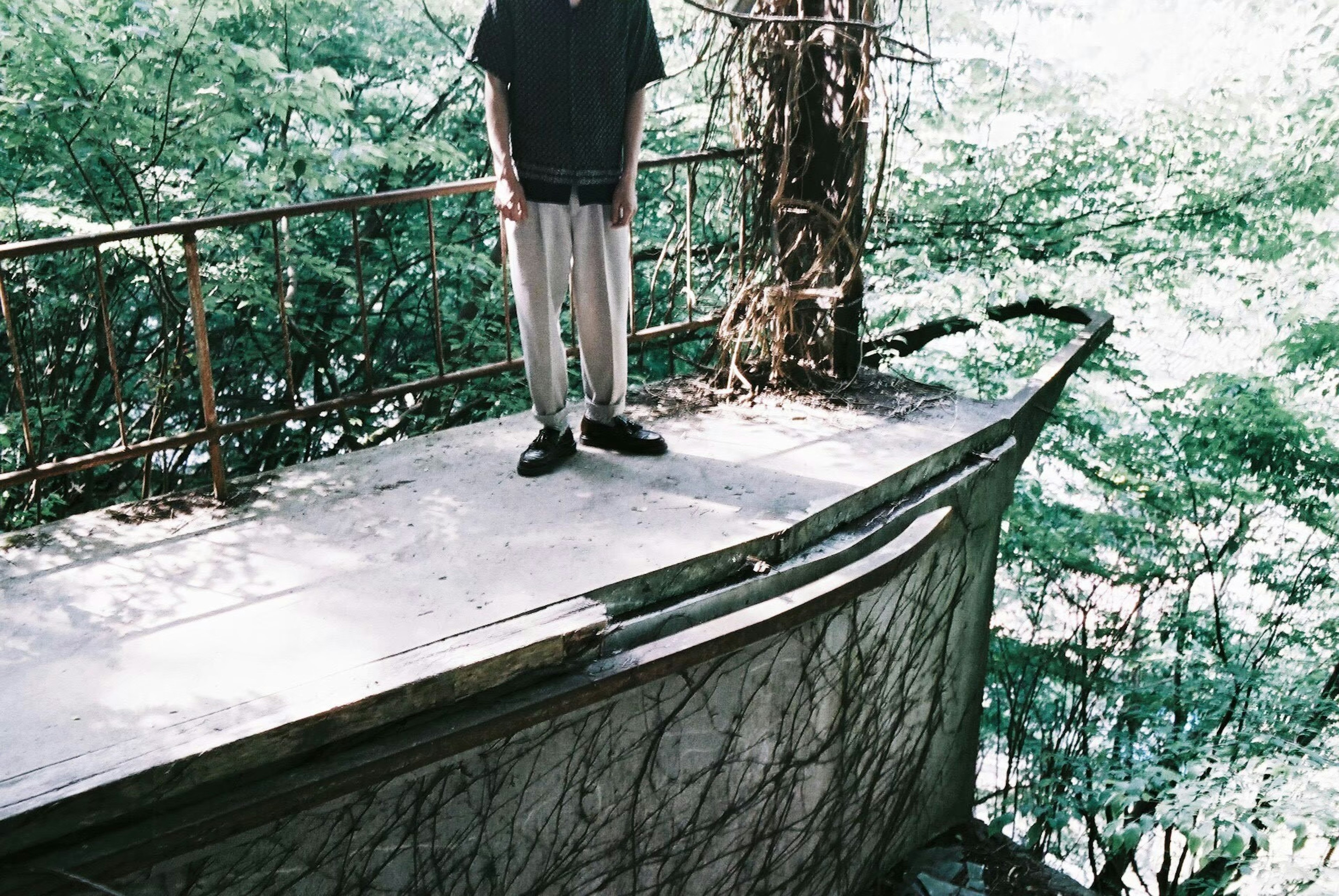 A person standing on an old boat deck surrounded by lush greenery