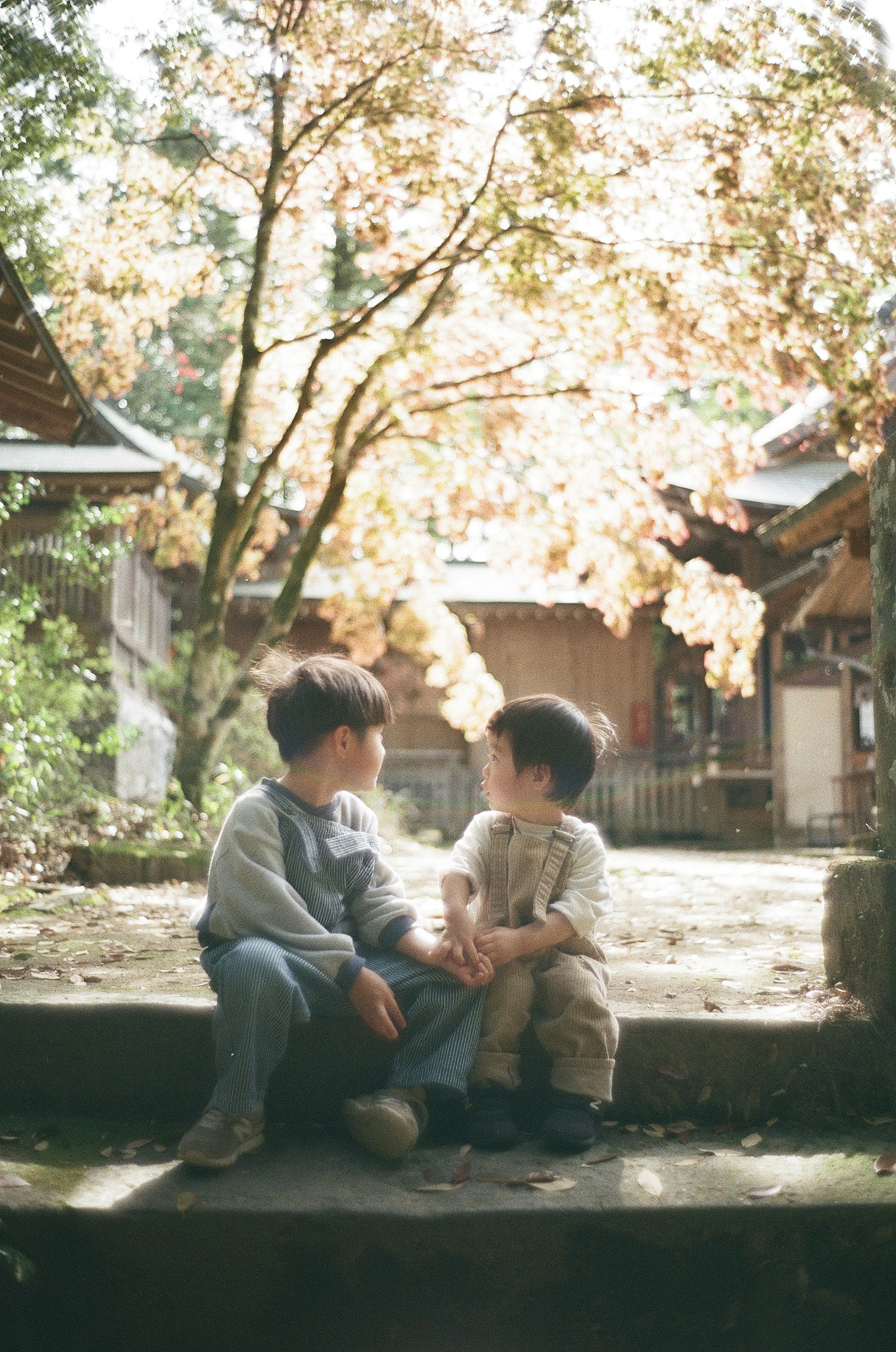 2人の子供が秋の木の下で座って話している風景