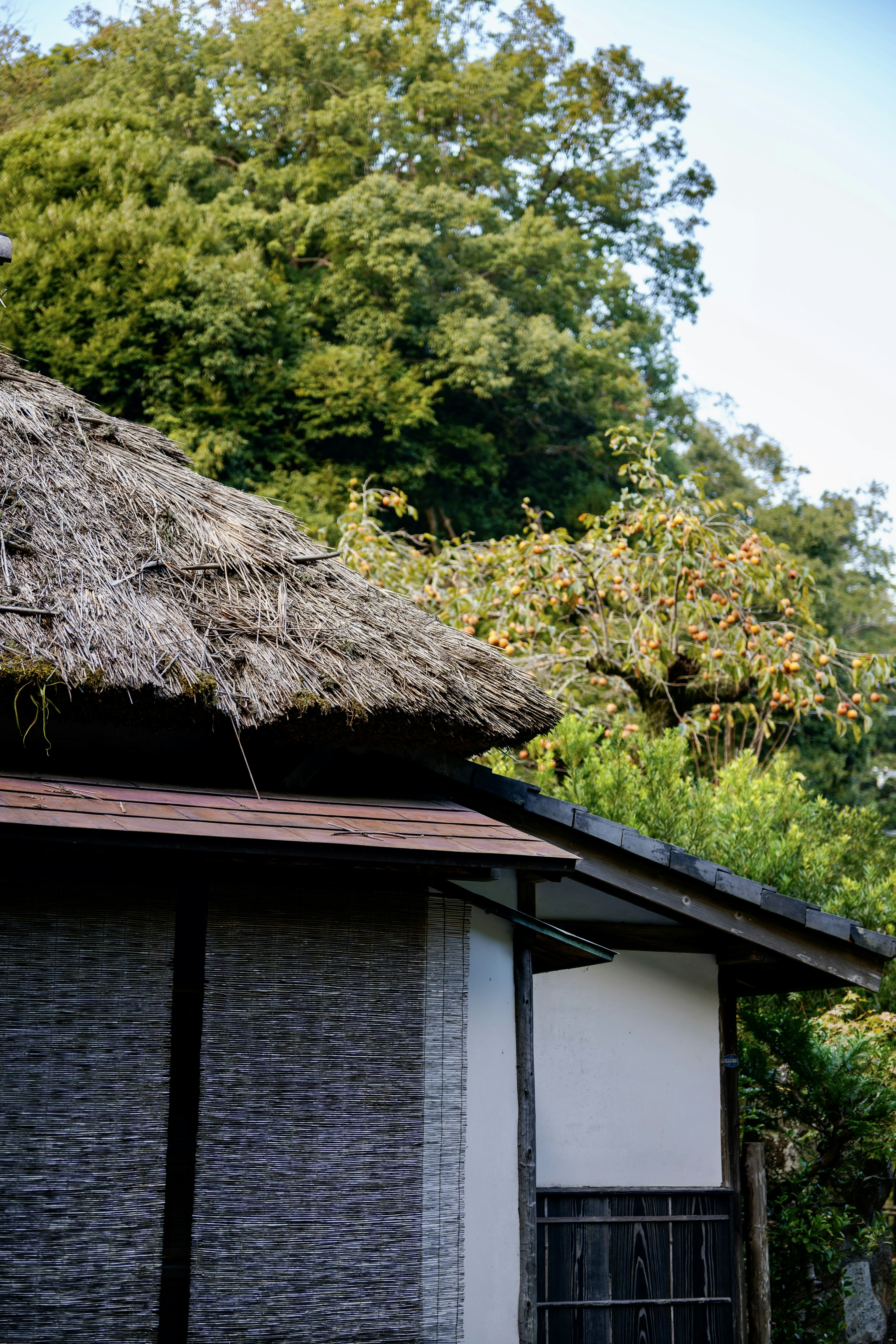 Traditionelles Haus mit Reetdach und üppigem Grün im Hintergrund