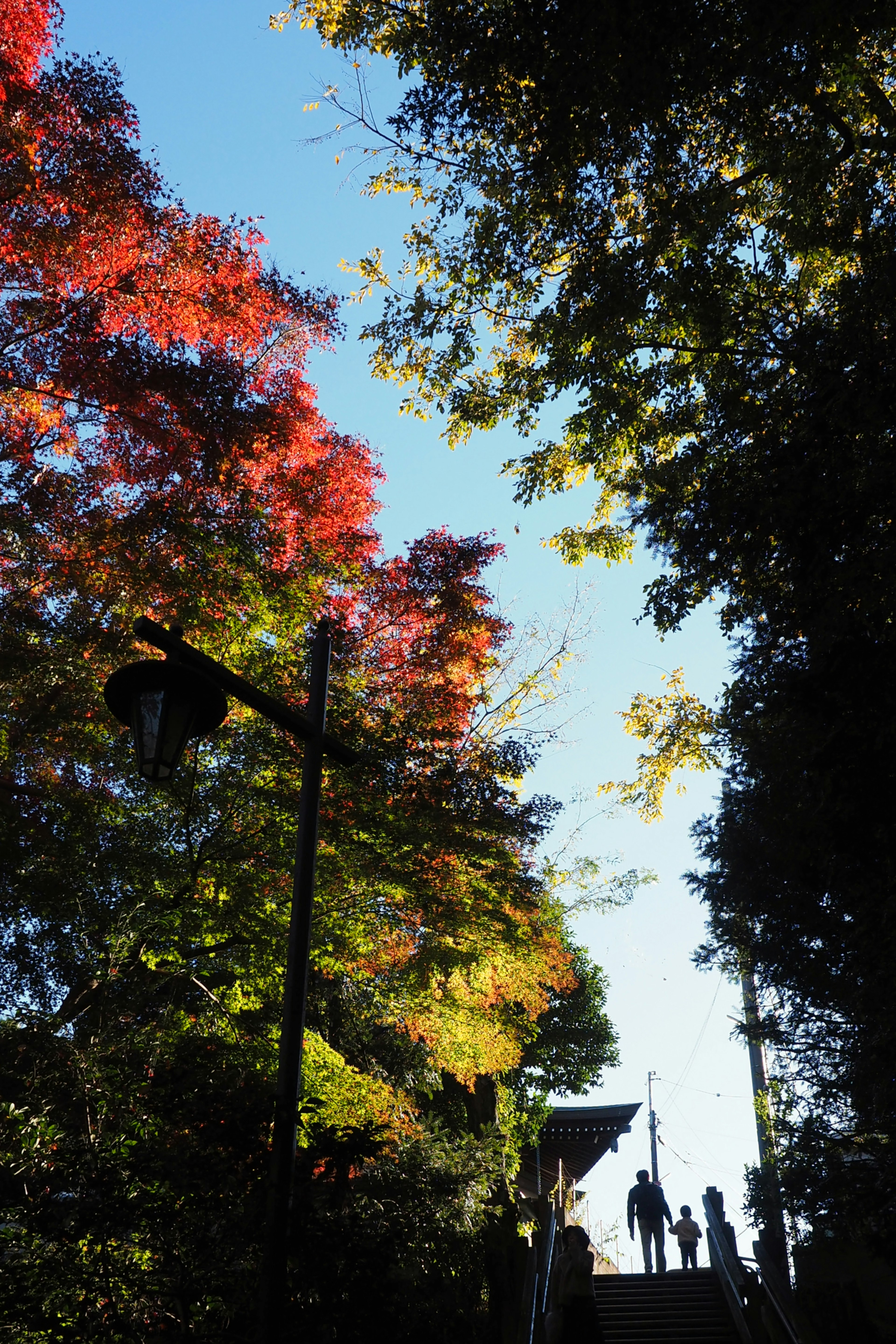 Silhouetten von Menschen, die auf einem Weg unter lebhaften Herbstblättern und blauem Himmel gehen