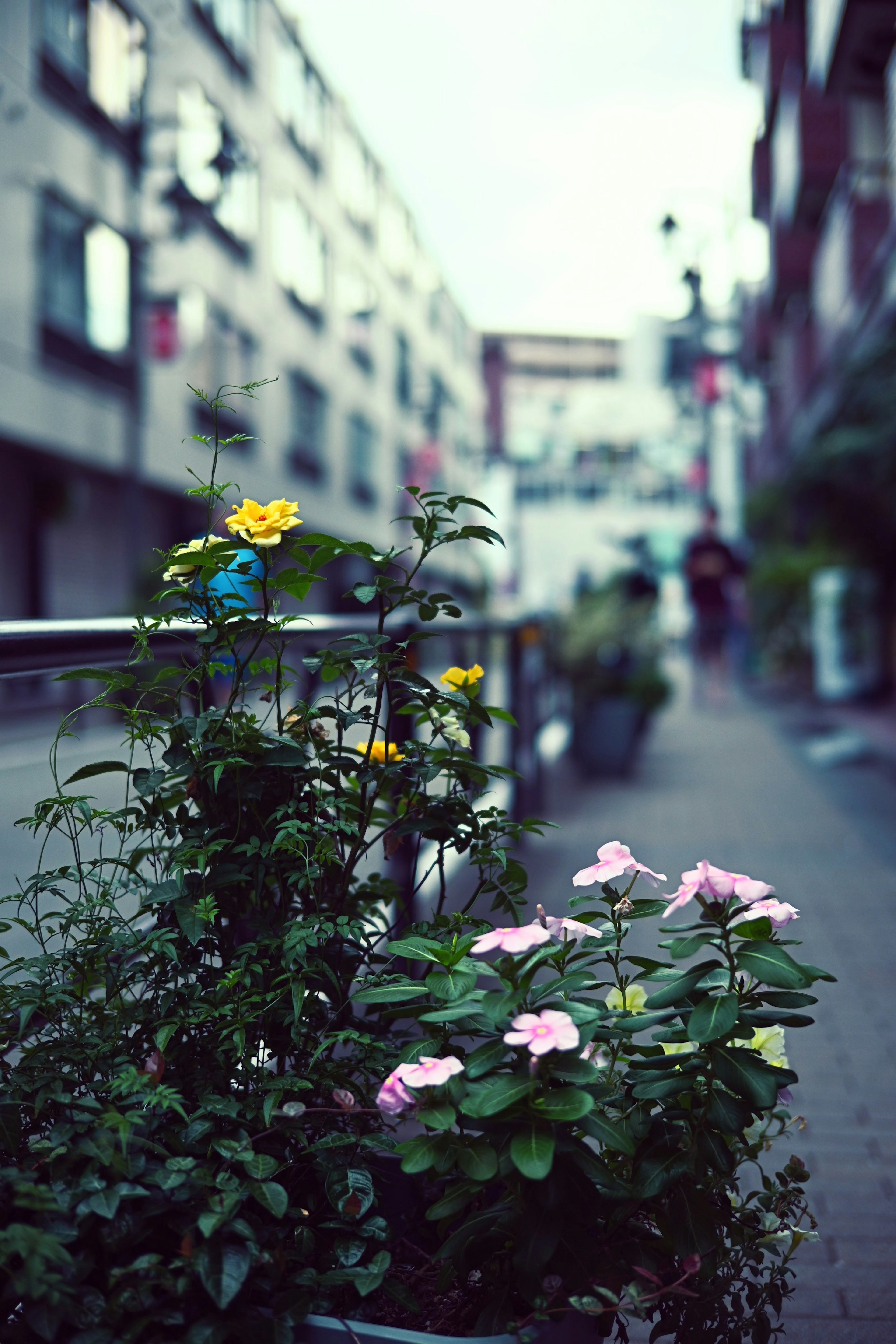 Städtische Szene mit Blumen und Grünflächen