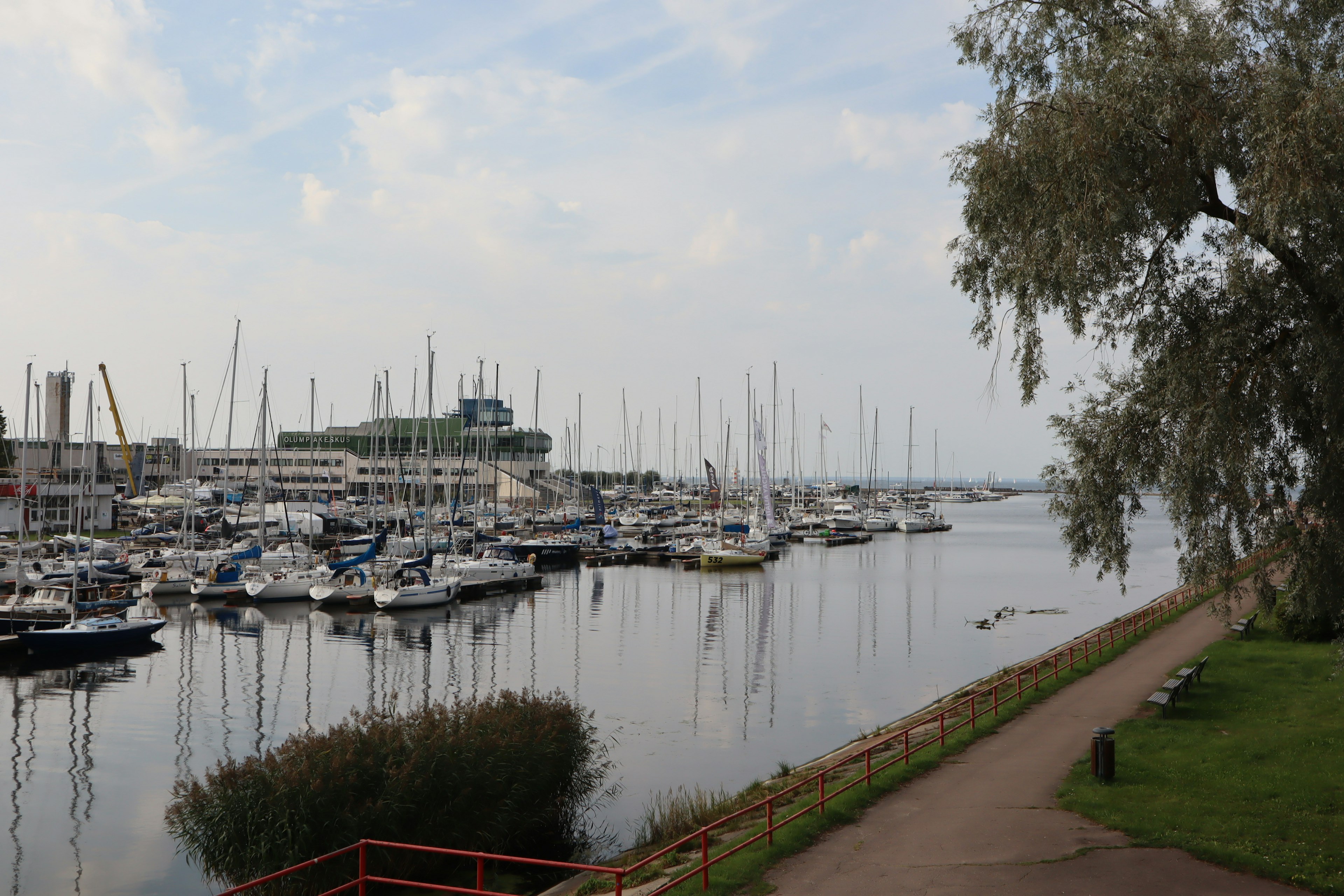 Hafenansicht mit Yachten auf ruhigem Wasser und grünem Grasufer