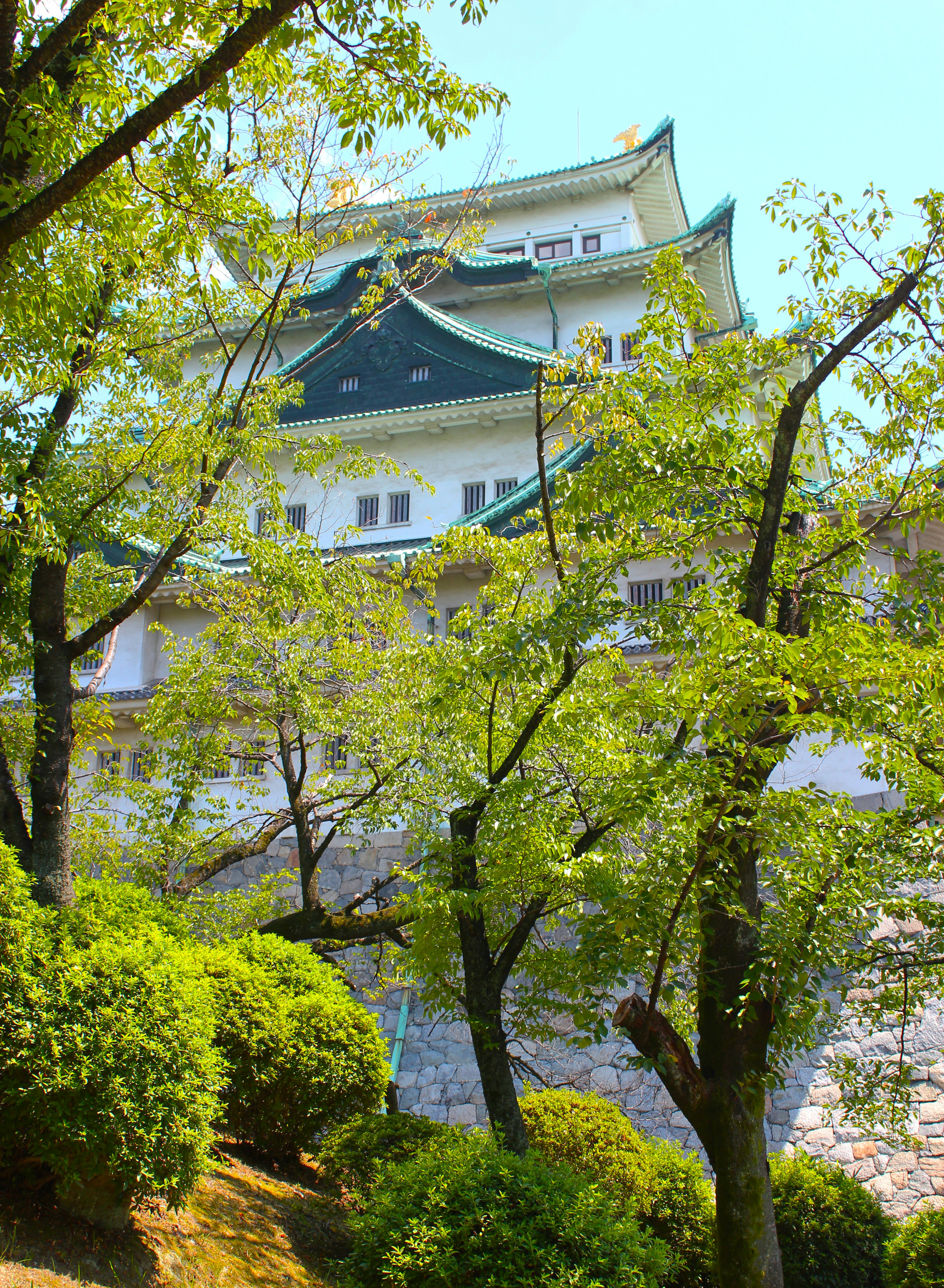 Château de Nagoya entouré de verdure luxuriante