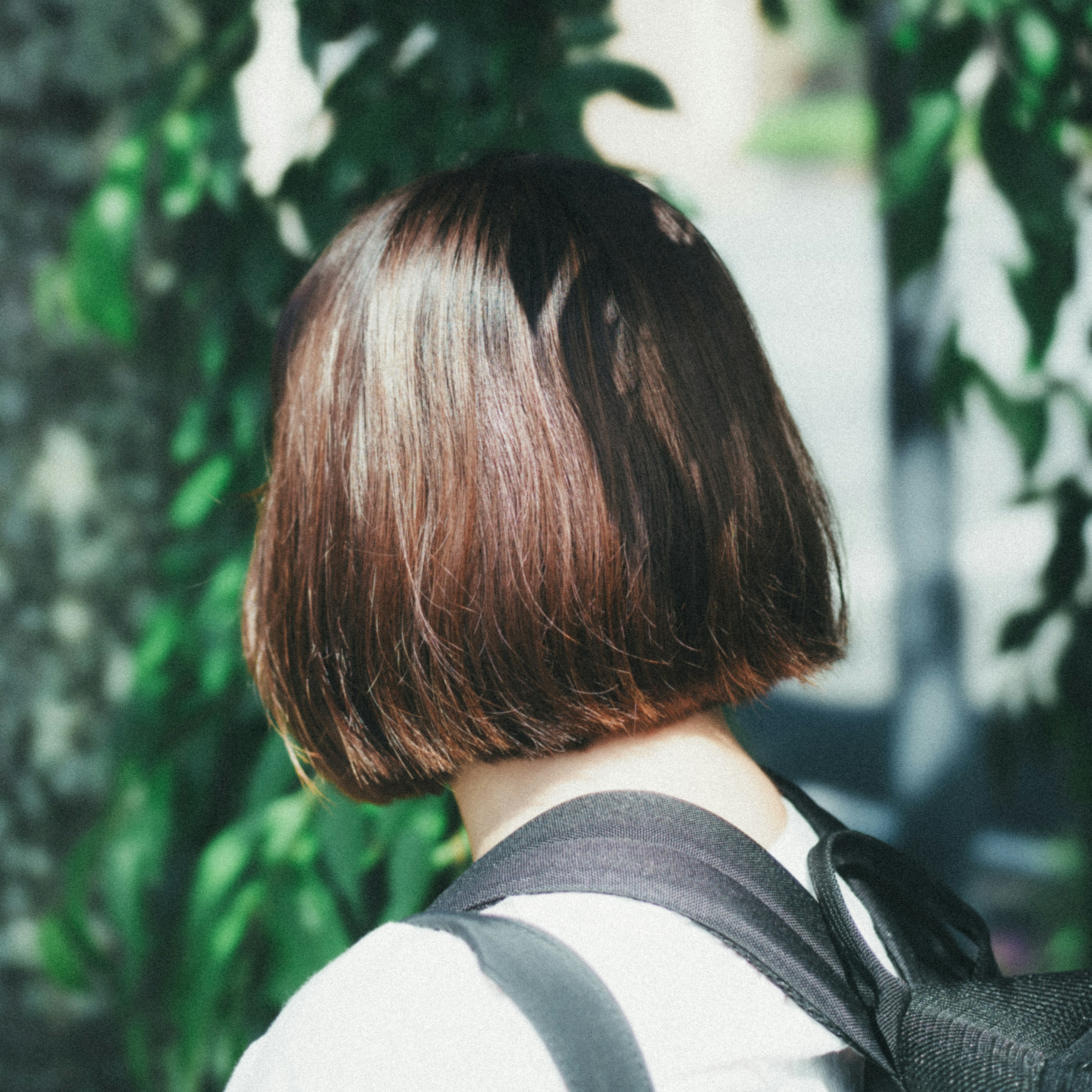 Pemandangan belakang seorang wanita dengan gaya rambut bob dikelilingi oleh tanaman hijau