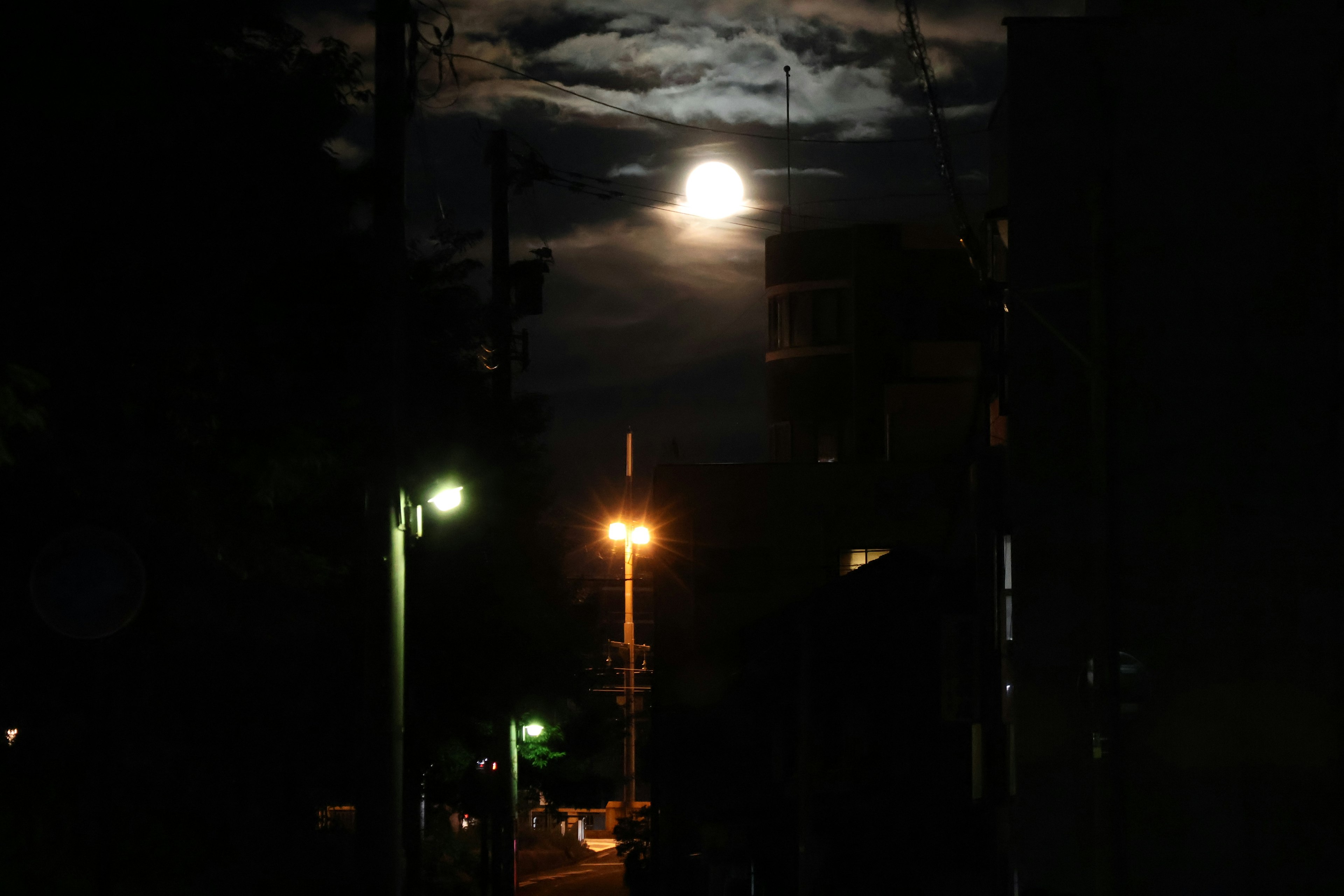 Scena notturna di una strada illuminata dalla luce della luna