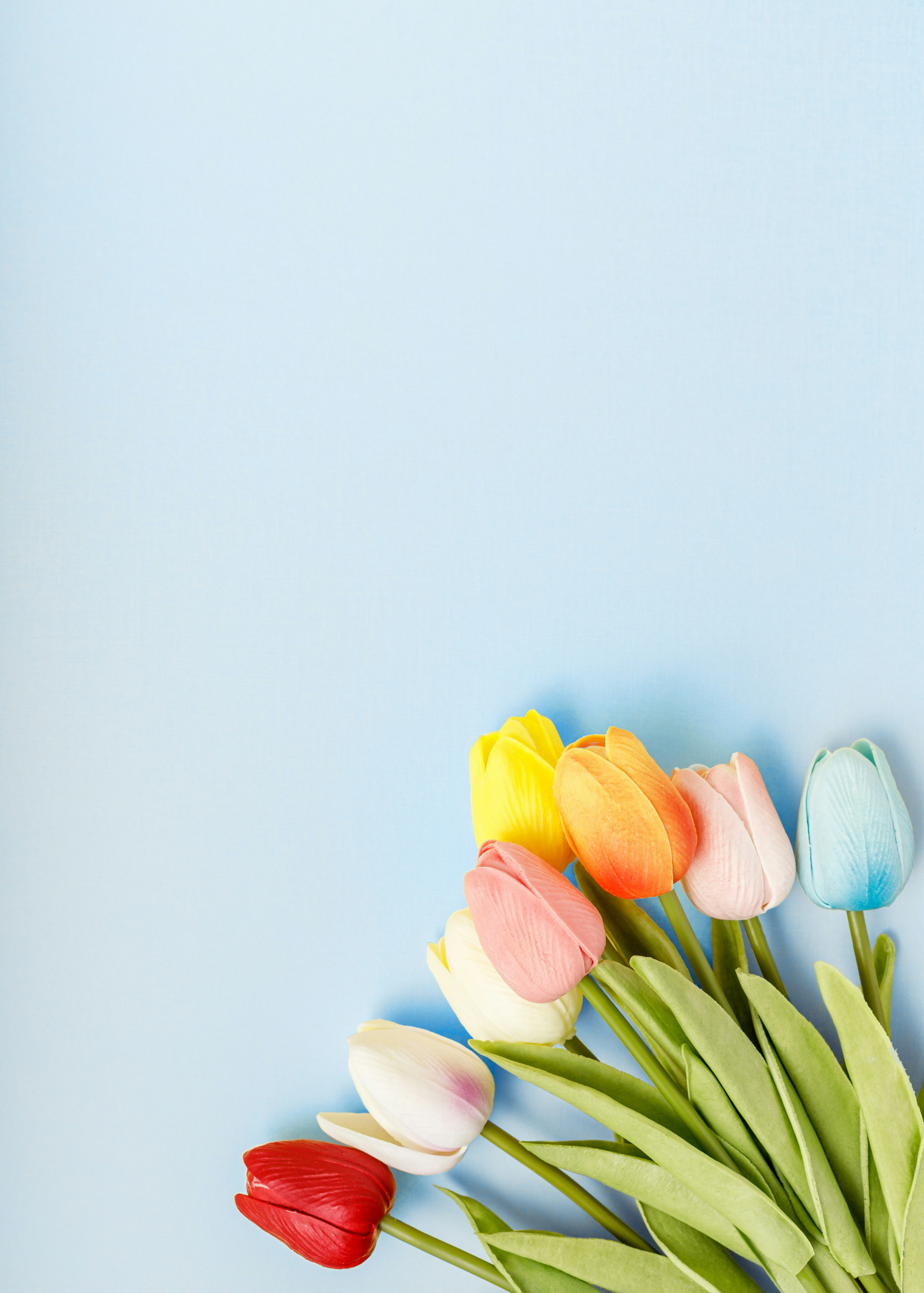 Colorful bouquet of tulips against a light blue background