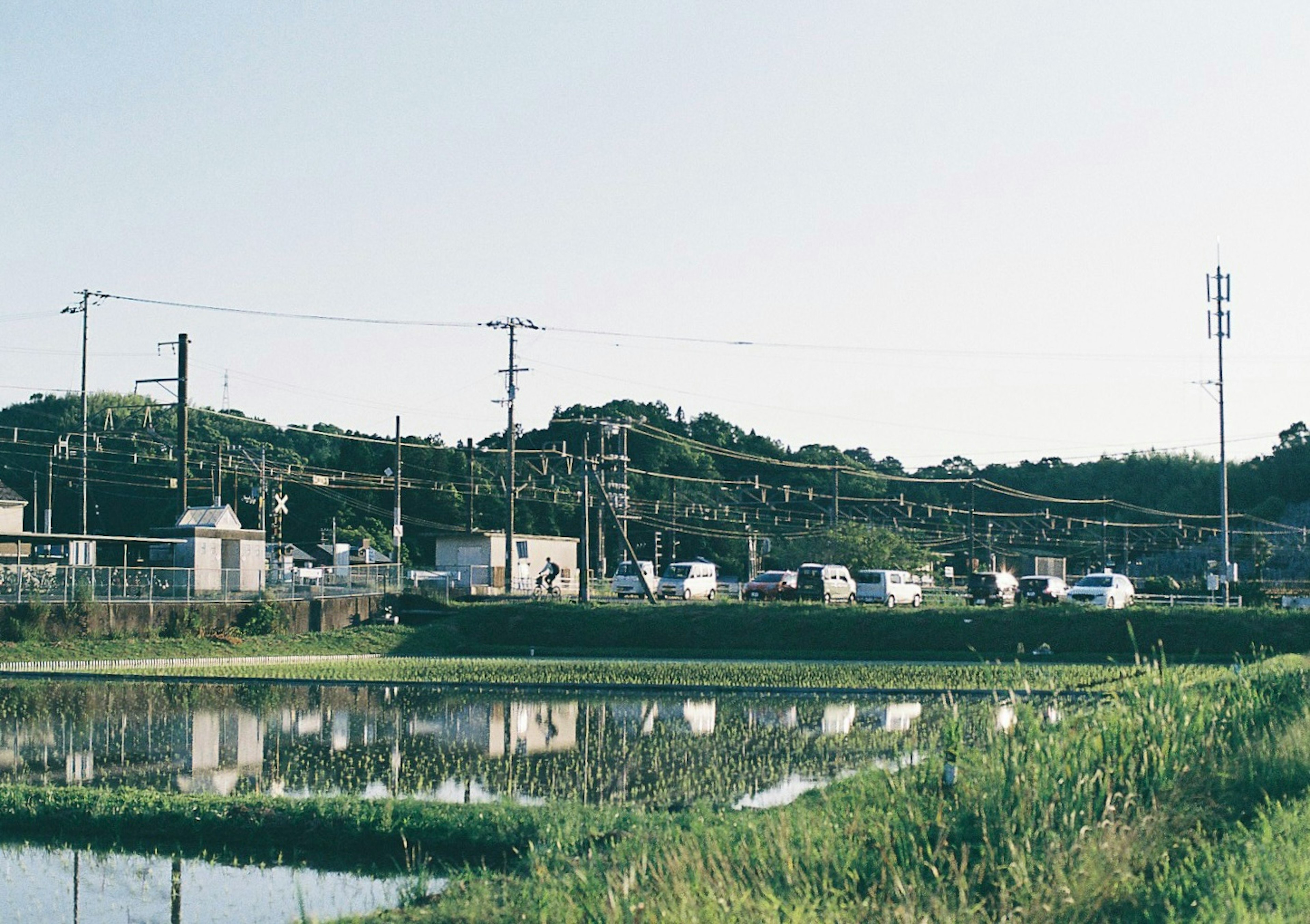 Paysage avec une file de voitures près d'un champ de riz et des lignes électriques