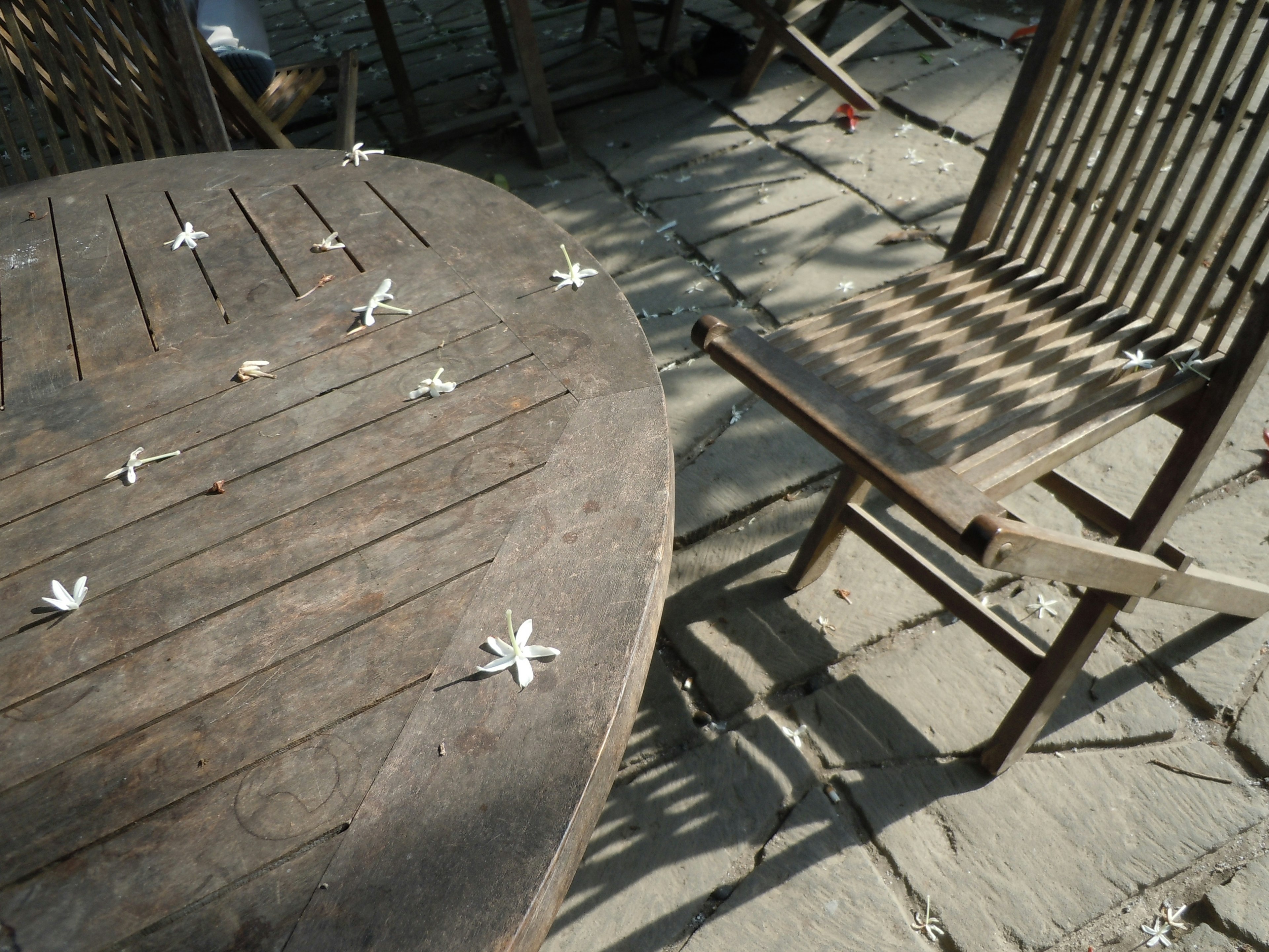 Wooden table and chair with scattered white flower petals