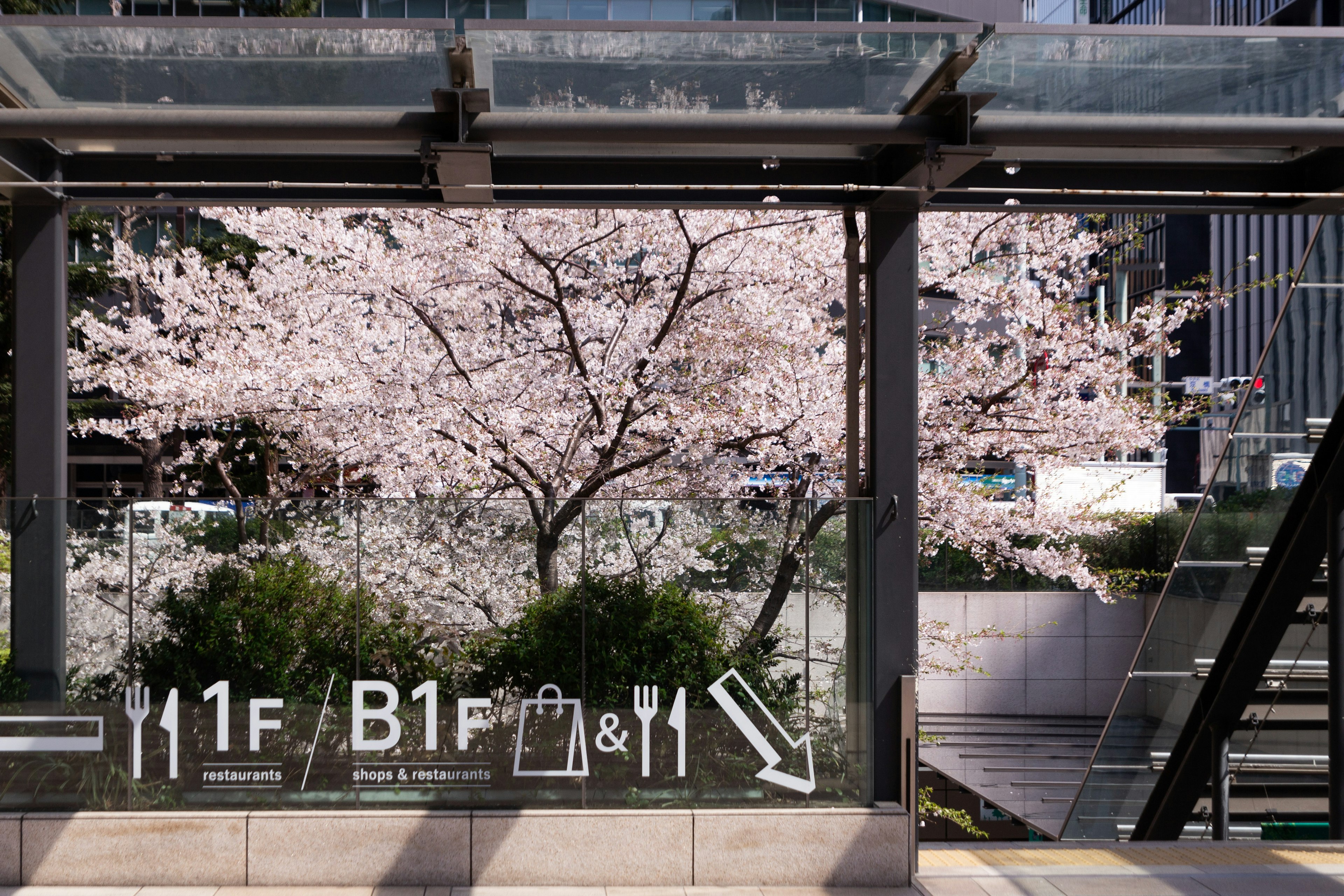 Panneau d'entrée d'un bâtiment commercial avec vue sur des cerisiers en fleurs