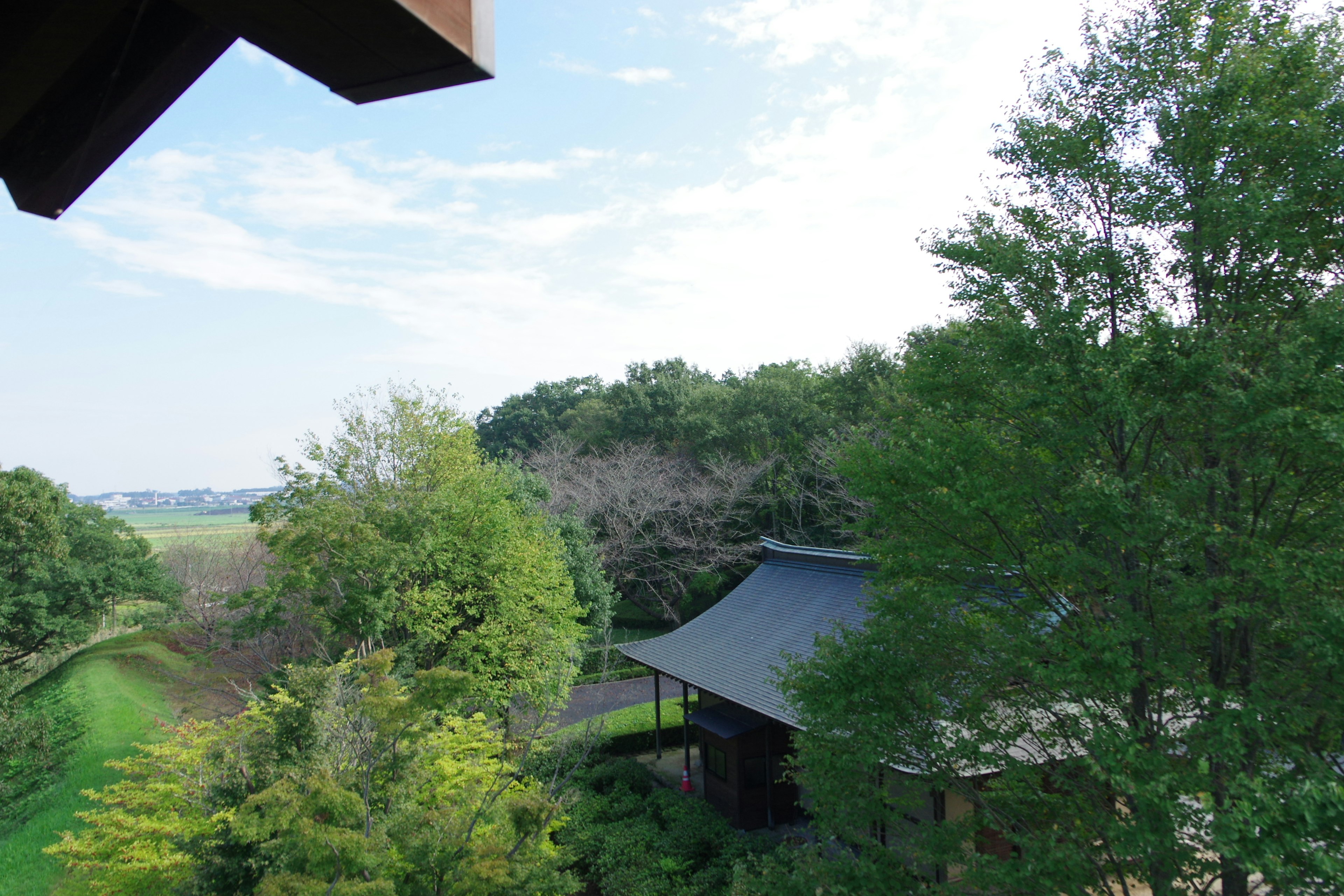 Scenic view of lush greenery with a traditional building roof