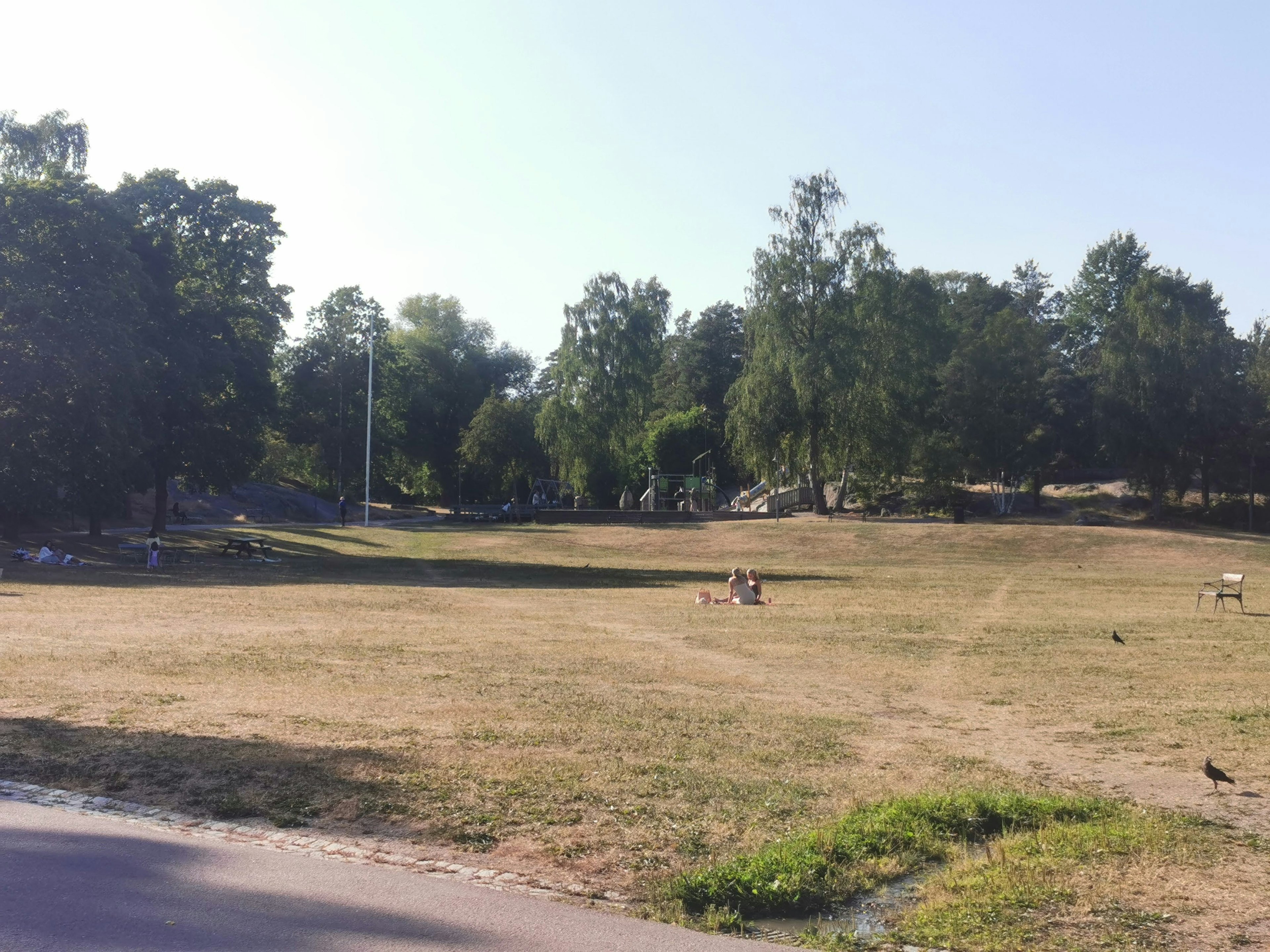 Área de césped abierta con árboles en un parque