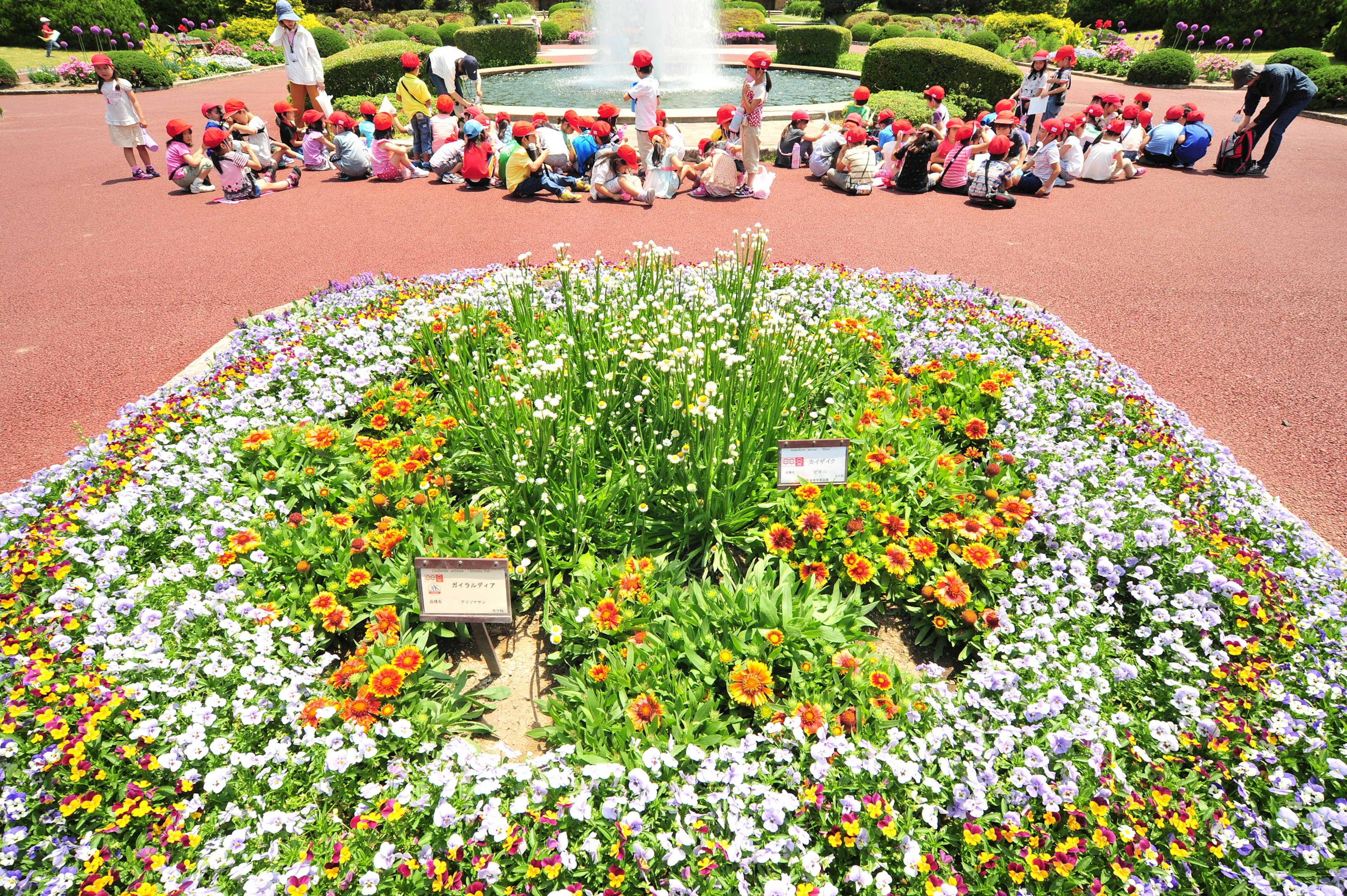 Bunte Blumenbeete mit Kindern, die darum sitzen