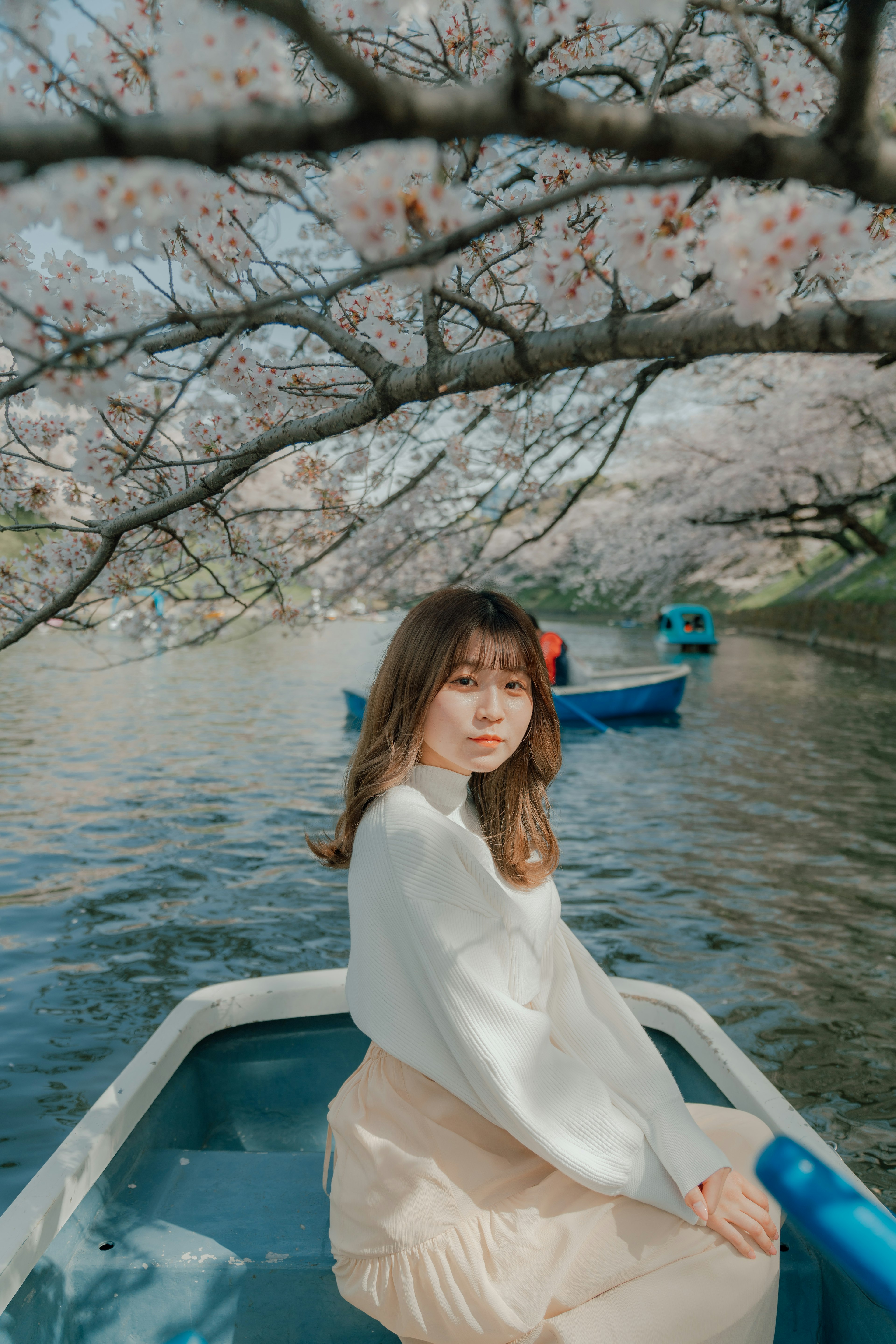 Une femme assise dans un bateau sous des cerisiers en fleurs