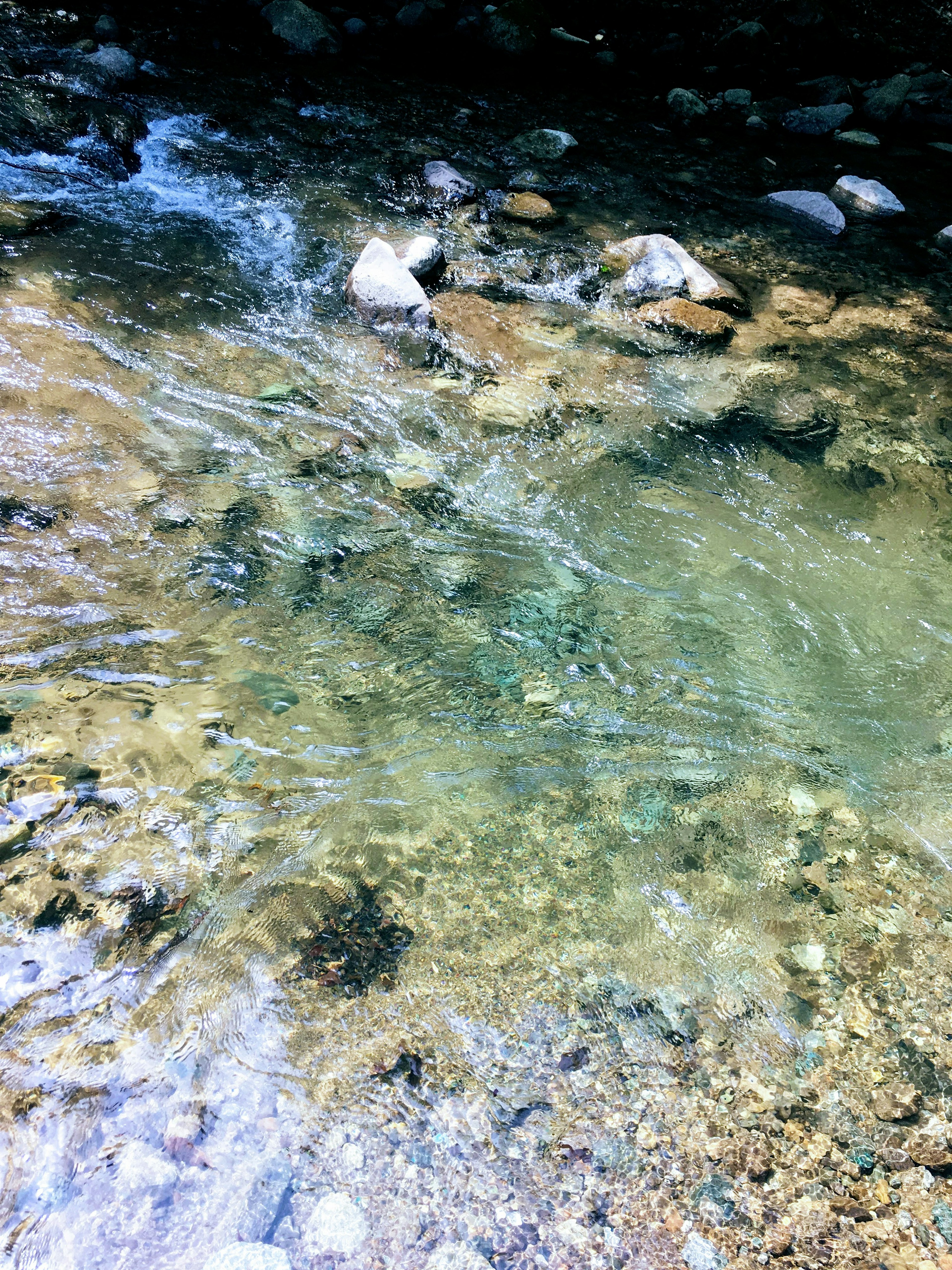 Air jernih dari aliran sungai mengalir di atas kerikil dan batu dalam lingkungan alami