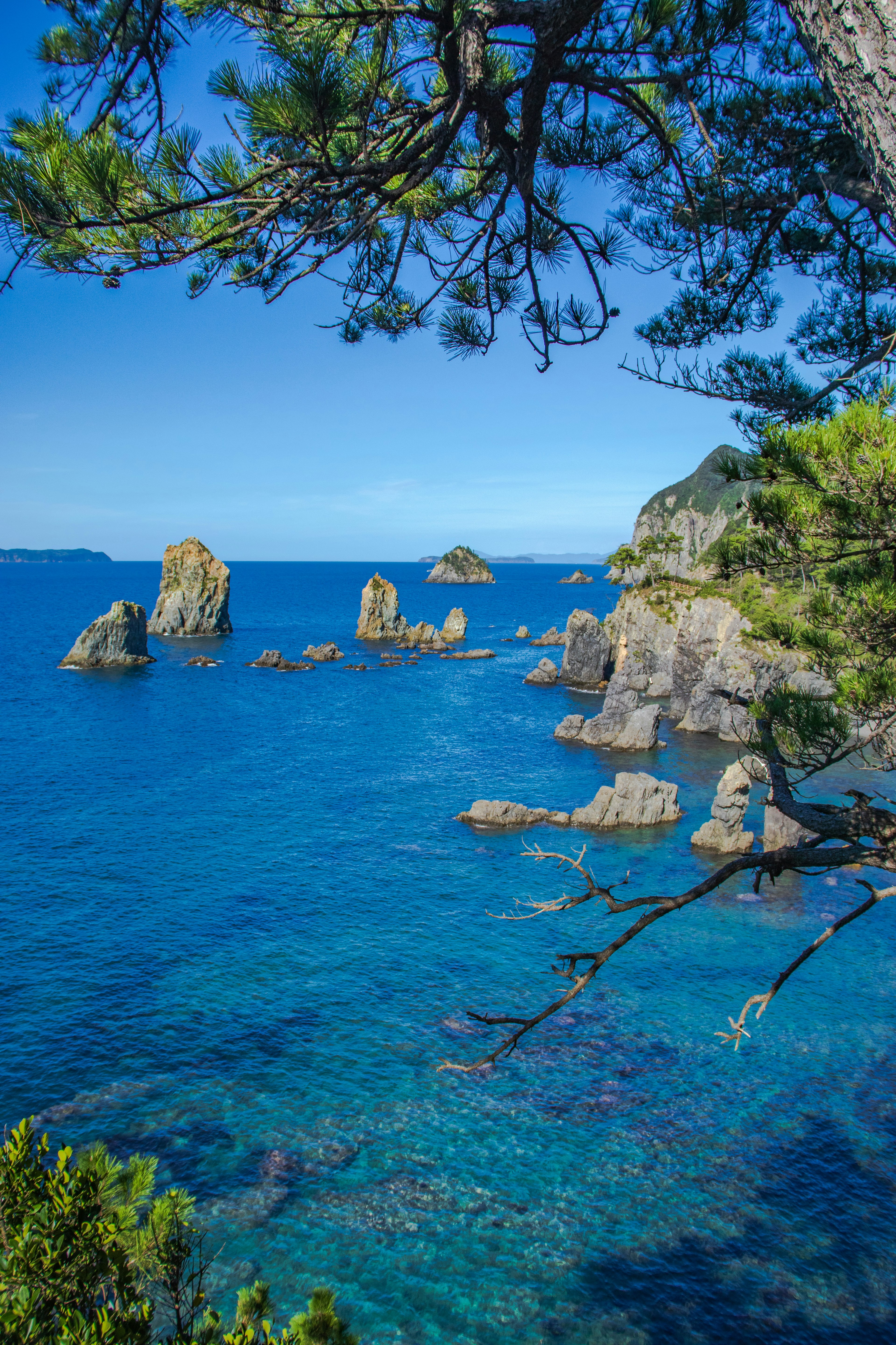 Vue panoramique de l'océan bleu avec des formations rocheuses et des pins