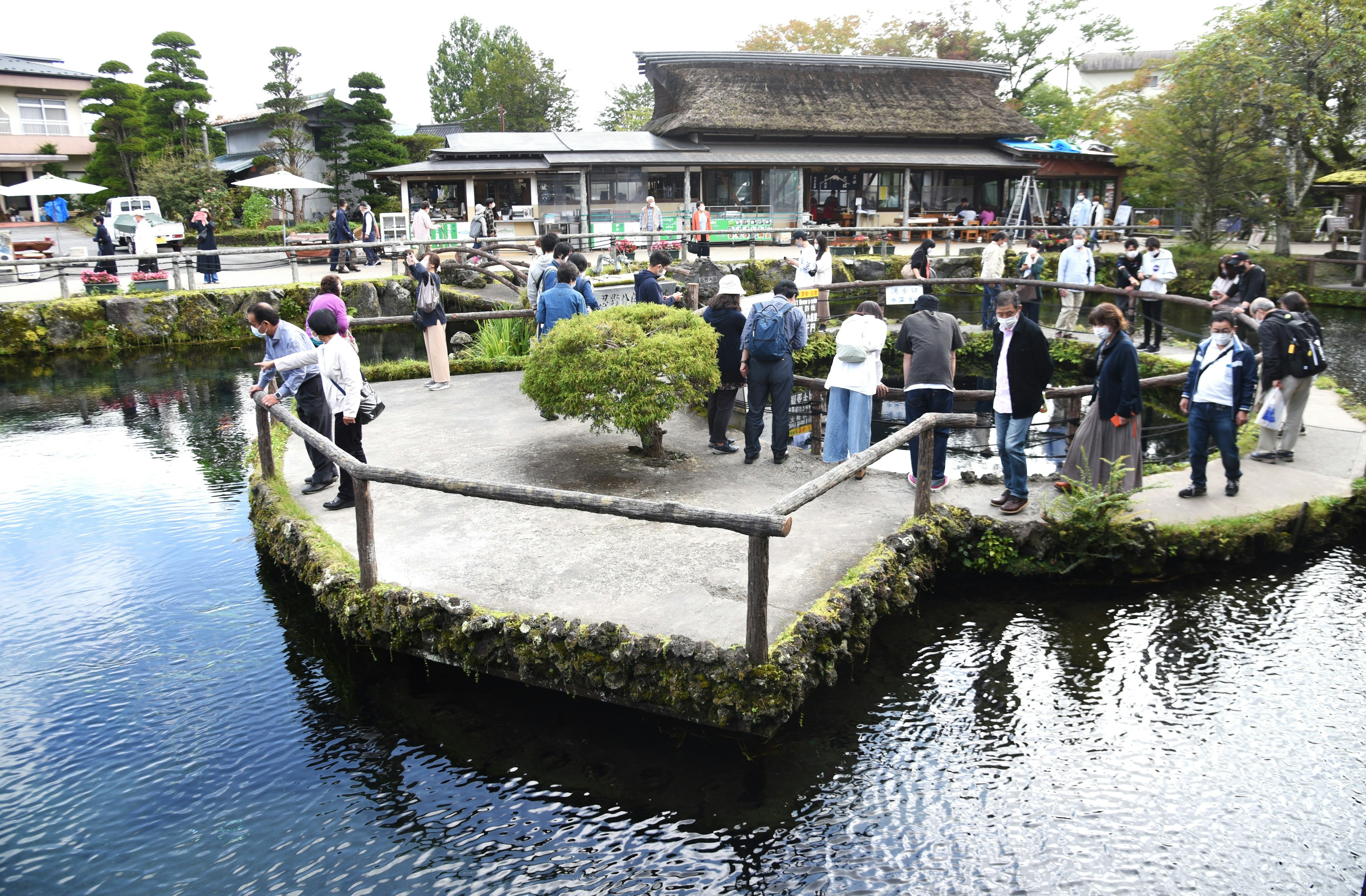 遊客聚集在一個美麗的池塘旁邊，旁邊有一個小花園