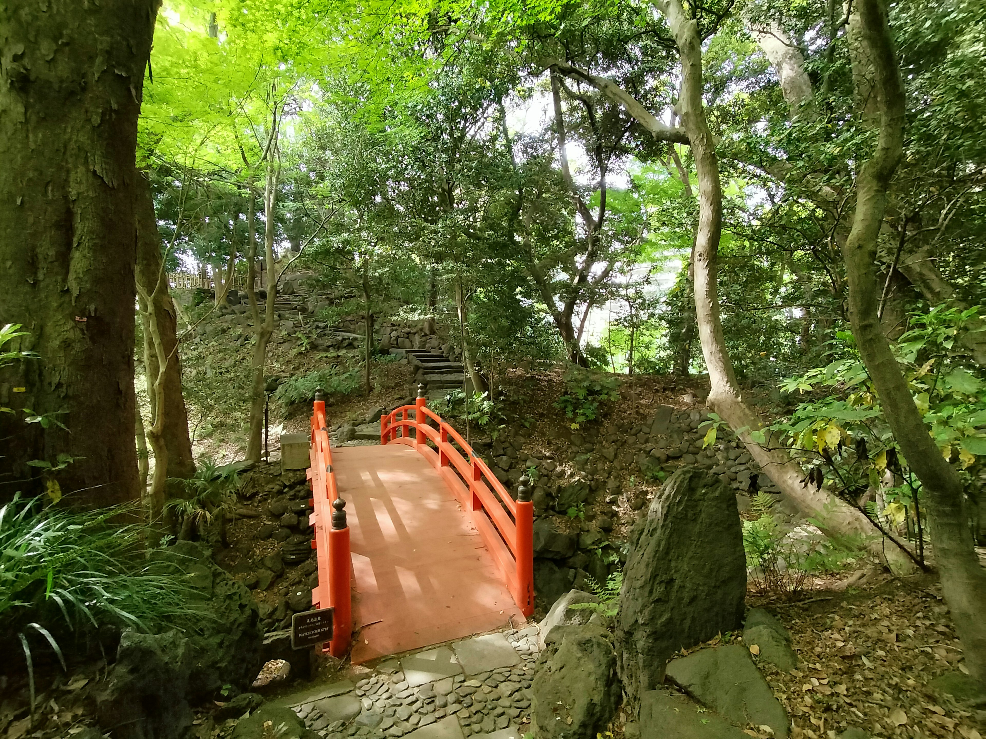 Un puente rojo en un bosque verde con caminos de piedra