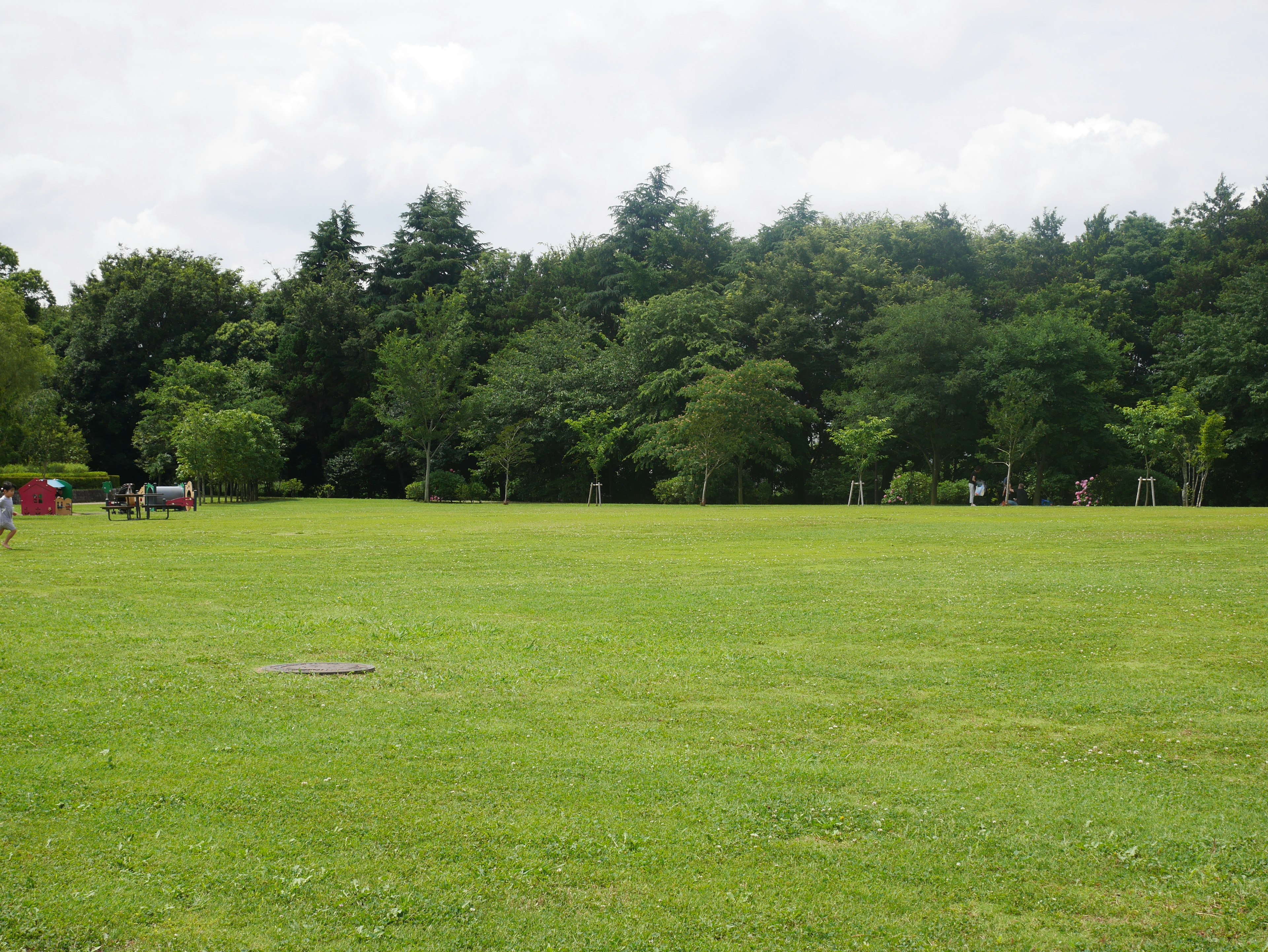 Spacious green park with trees in the background