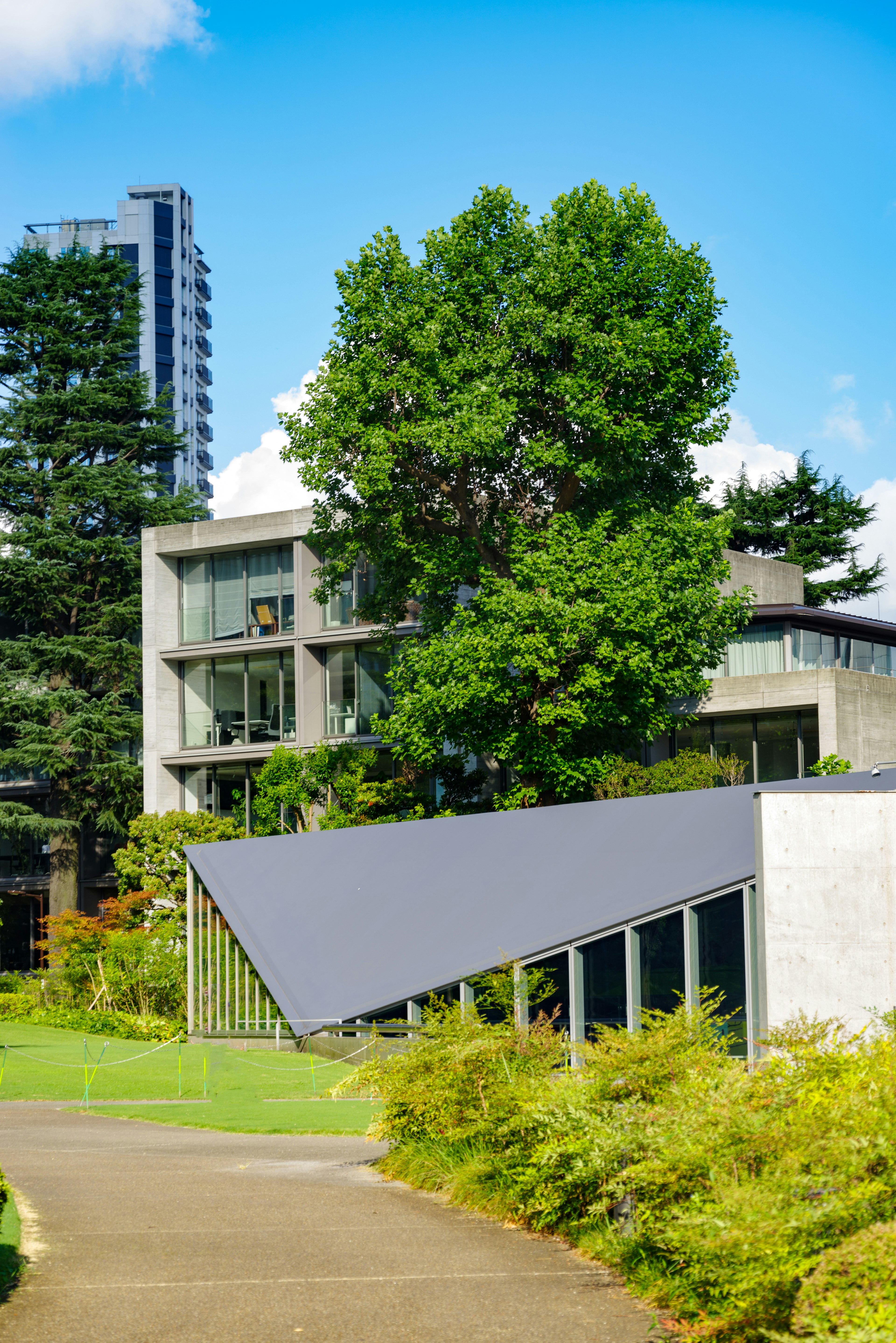 Modern building surrounded by greenery and a large tree