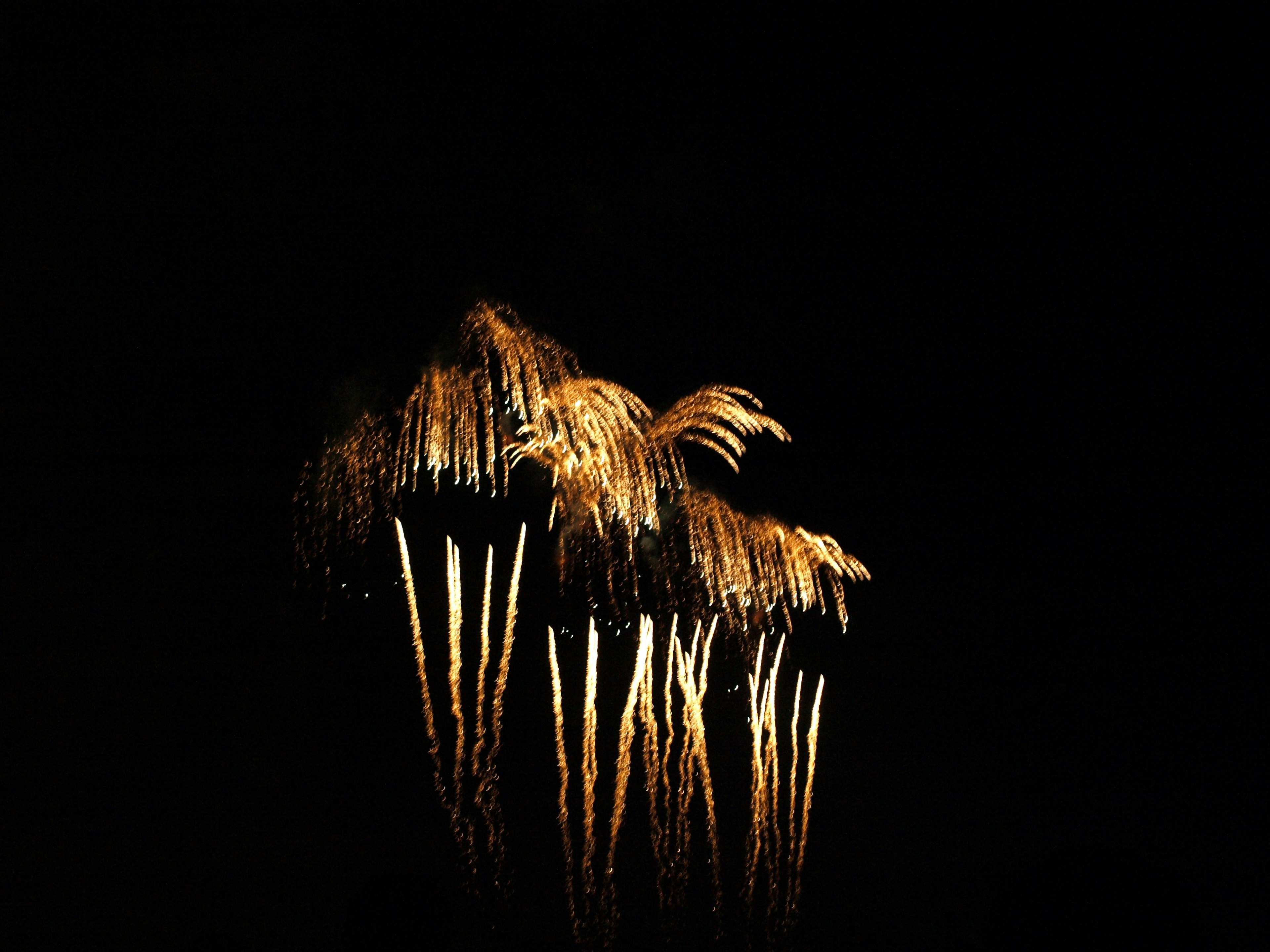 Spettacolo di fuochi d'artificio dorati che illuminano il cielo notturno