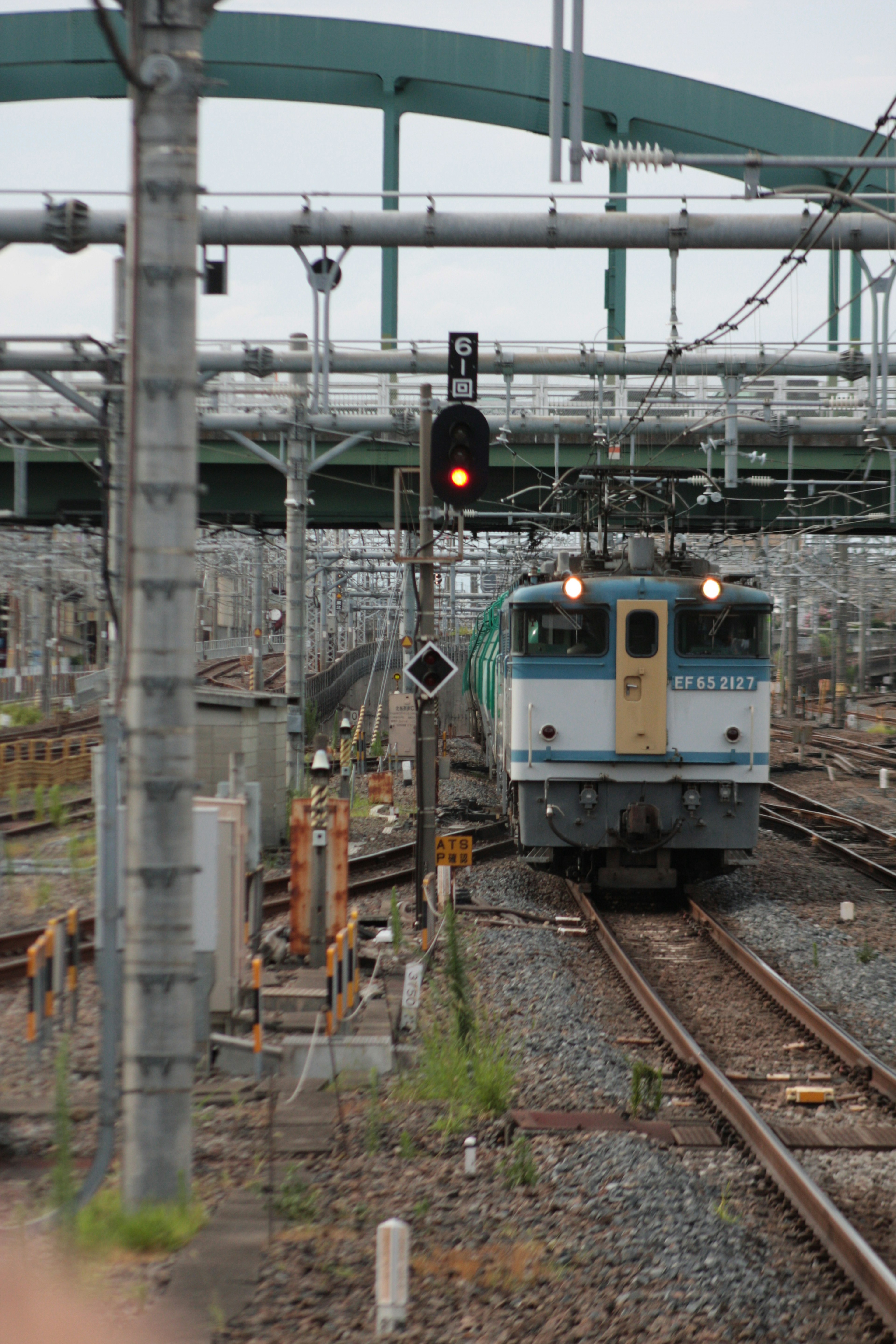 Blue and white train approaching on green tracks