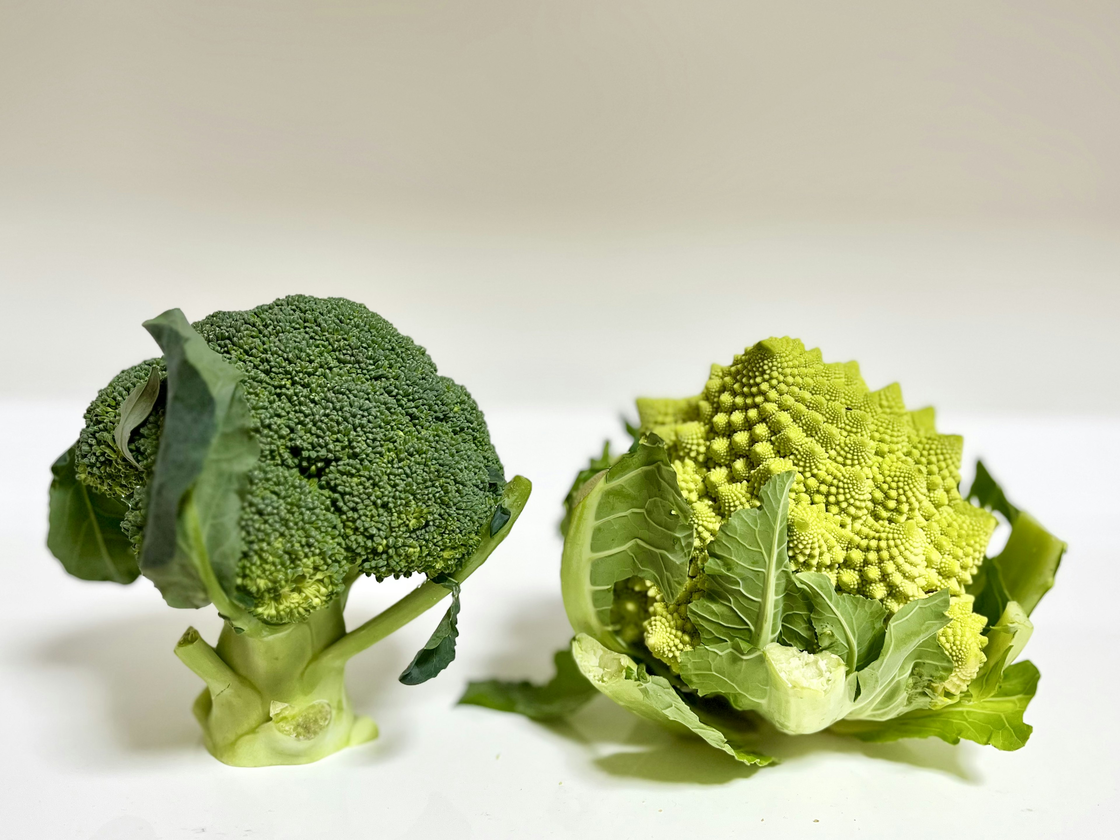 Broccoli and Romanesco vegetables side by side