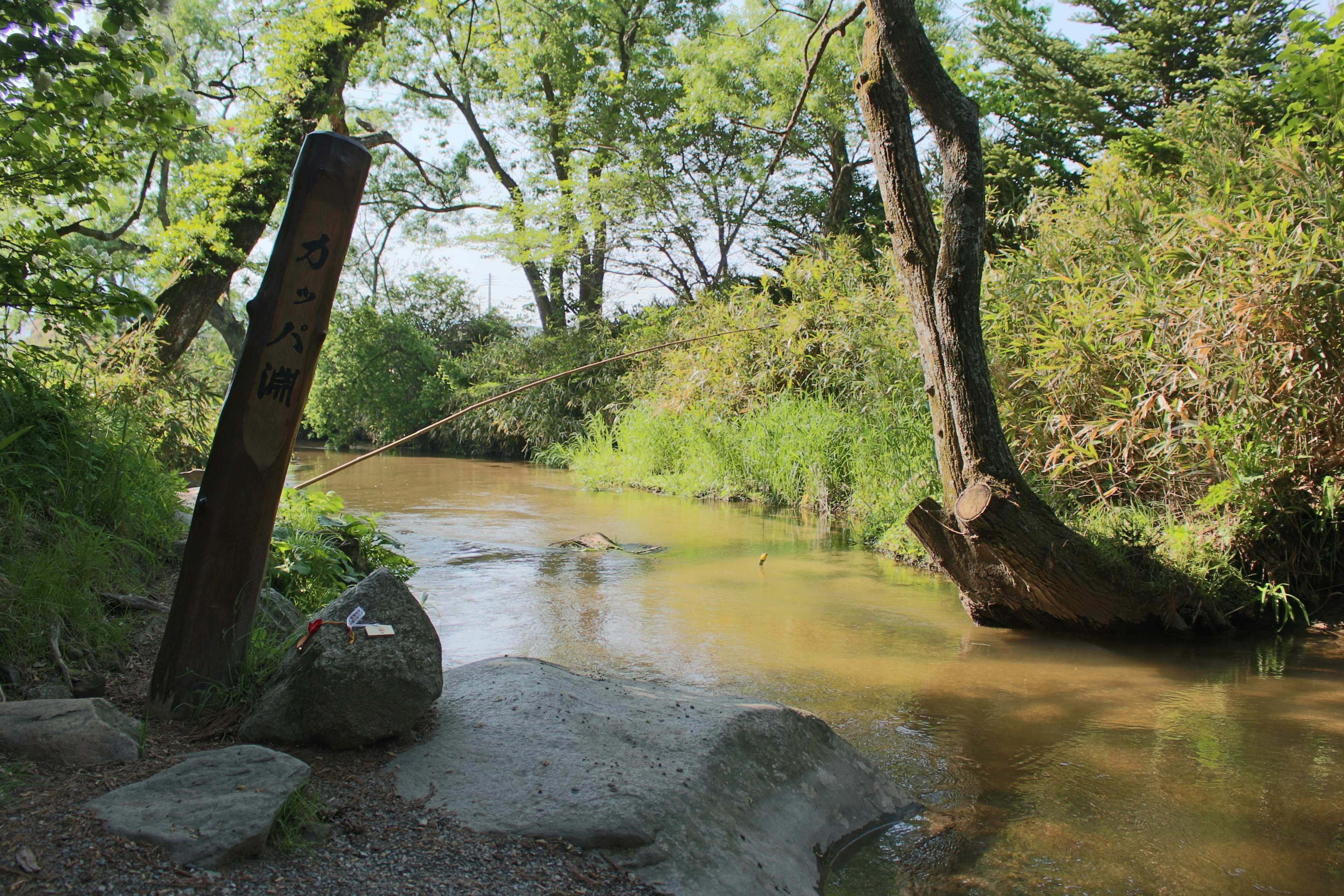 Serene stream surrounded by lush greenery and trees