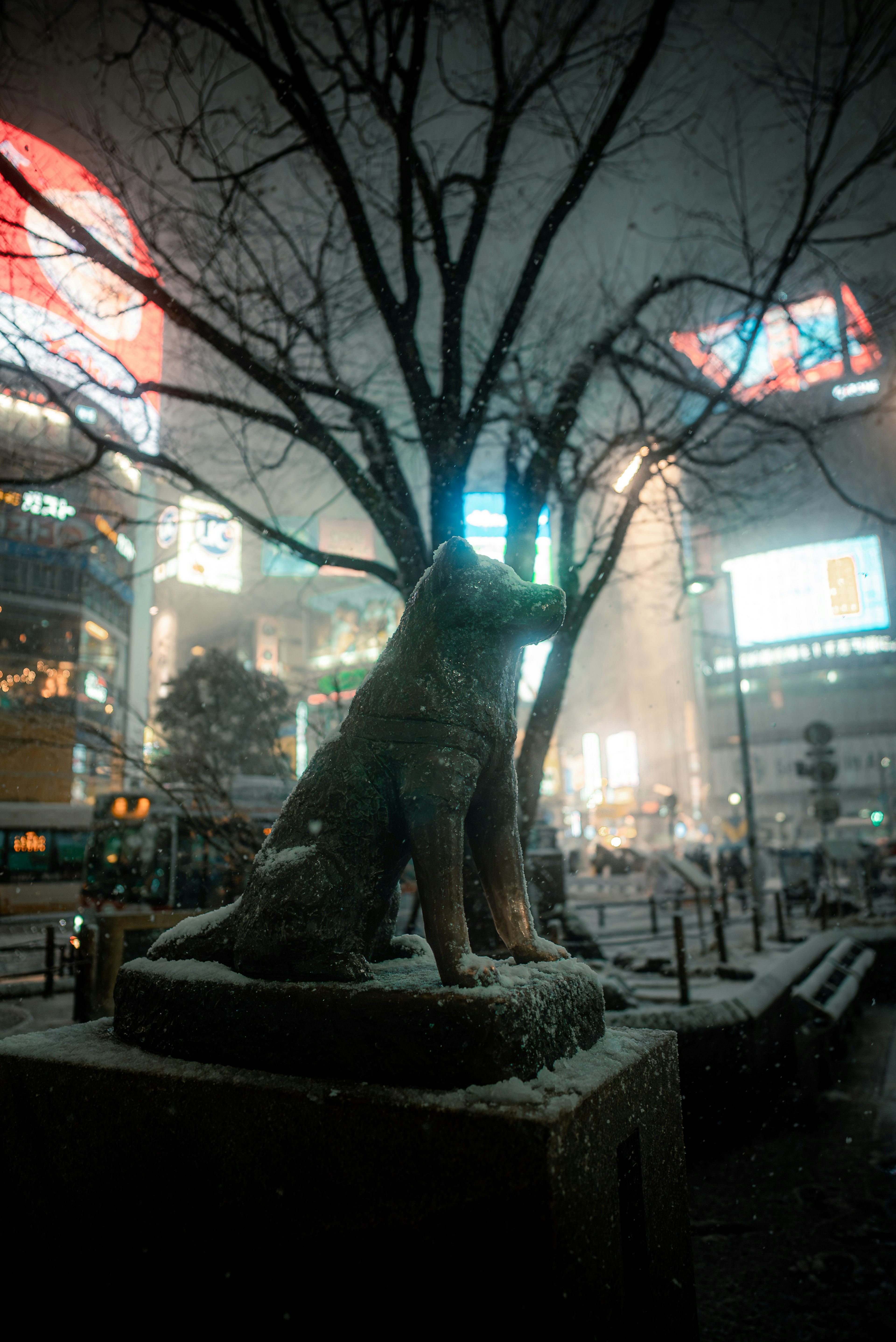 雪の中にある忠犬ハチ公の像と周囲のビルの明かり