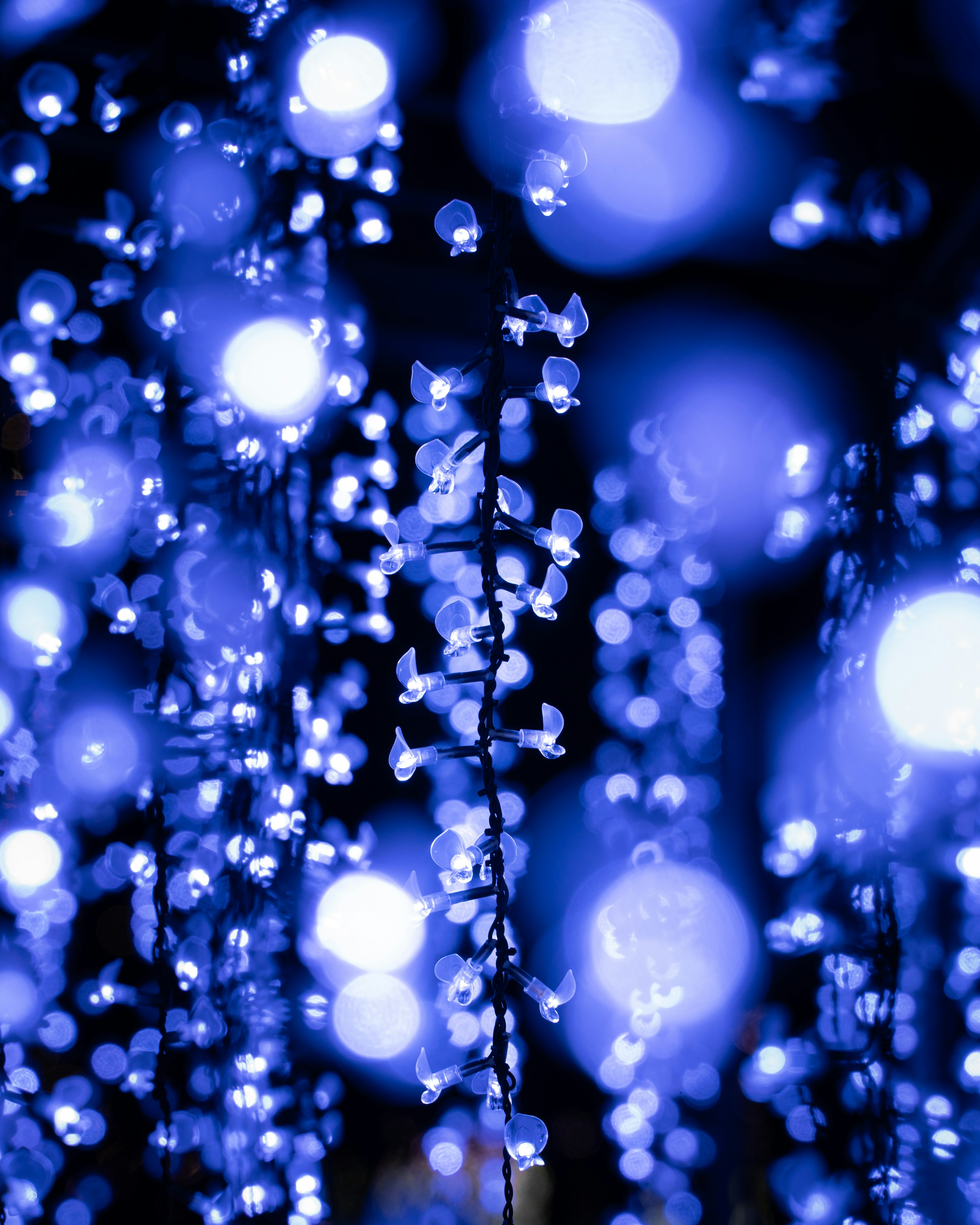 Decorative hanging droplets illuminated in blue light