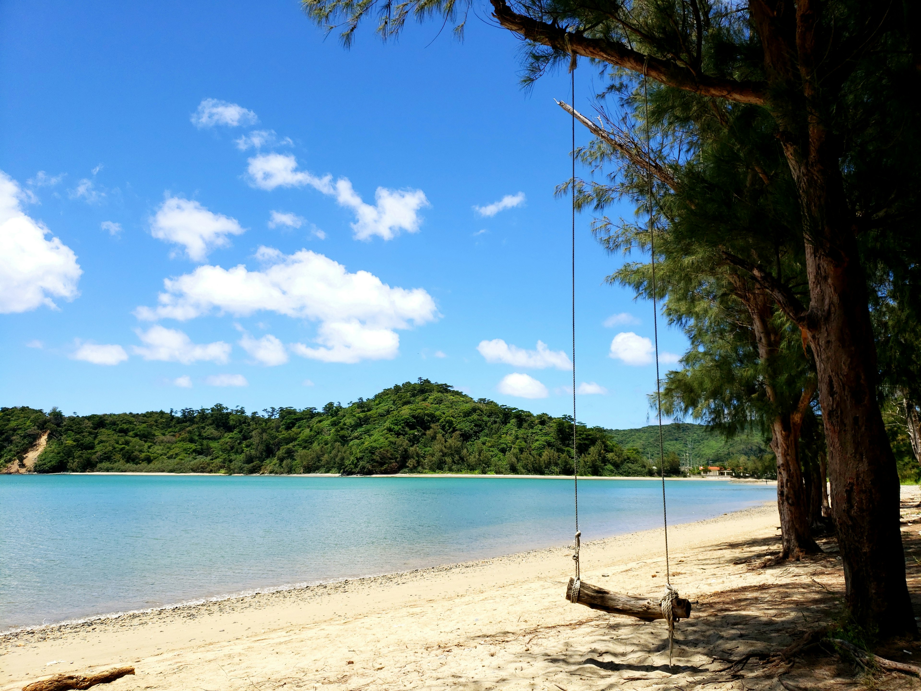 Playa escénica con un columpio y agua azul clara