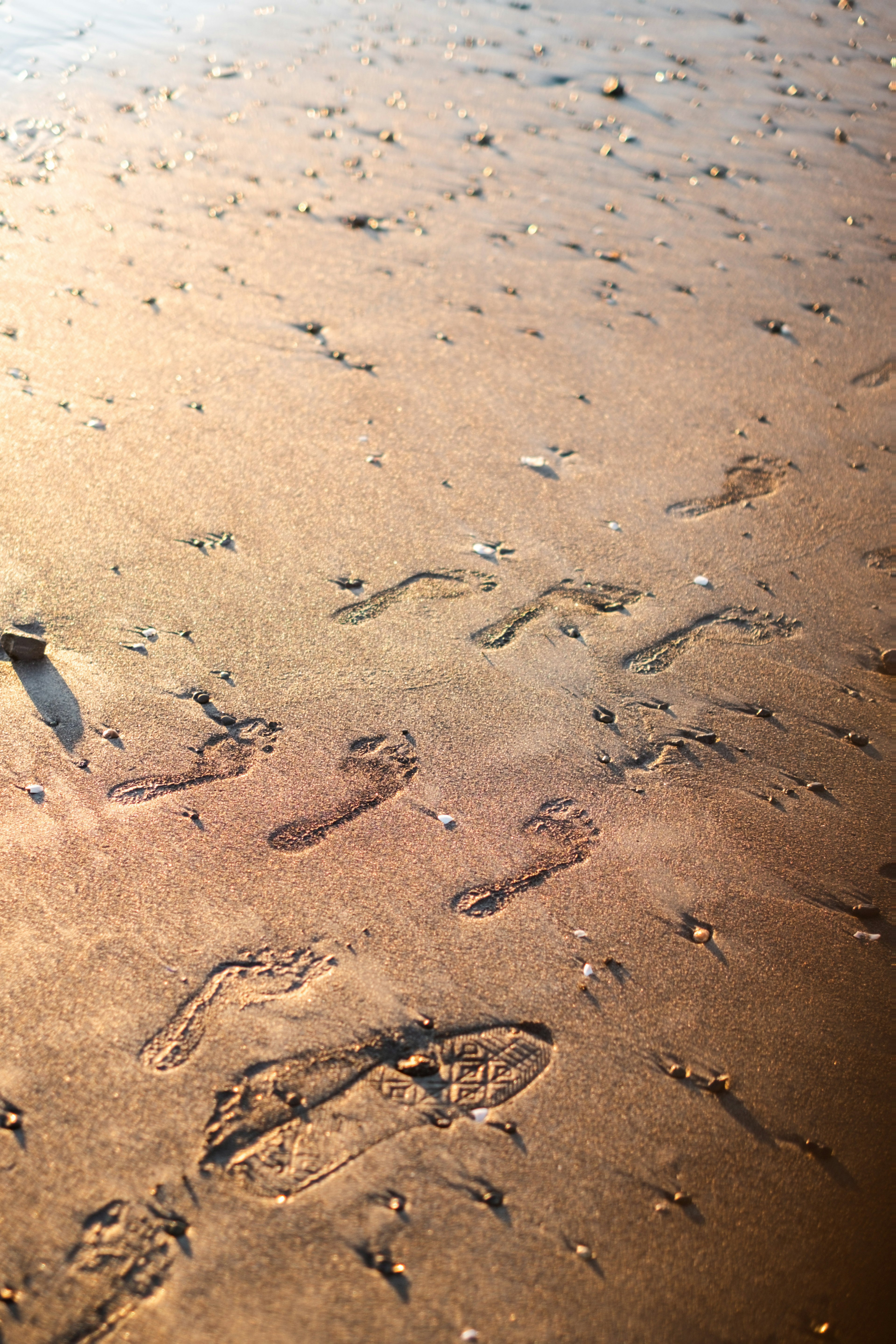 Footprints scattered across a sandy beach