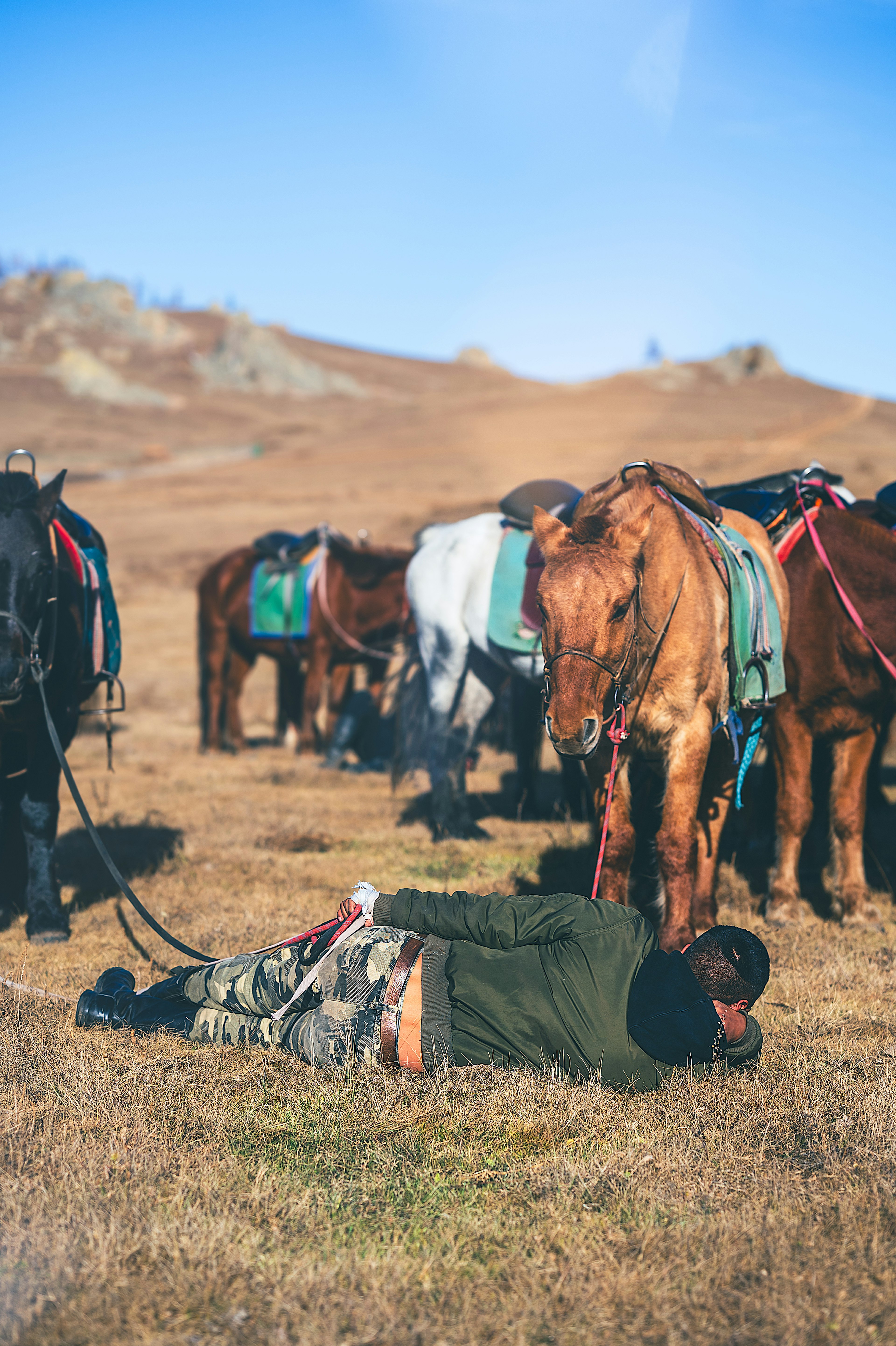 Un hombre acostado en la hierba con un grupo de caballos