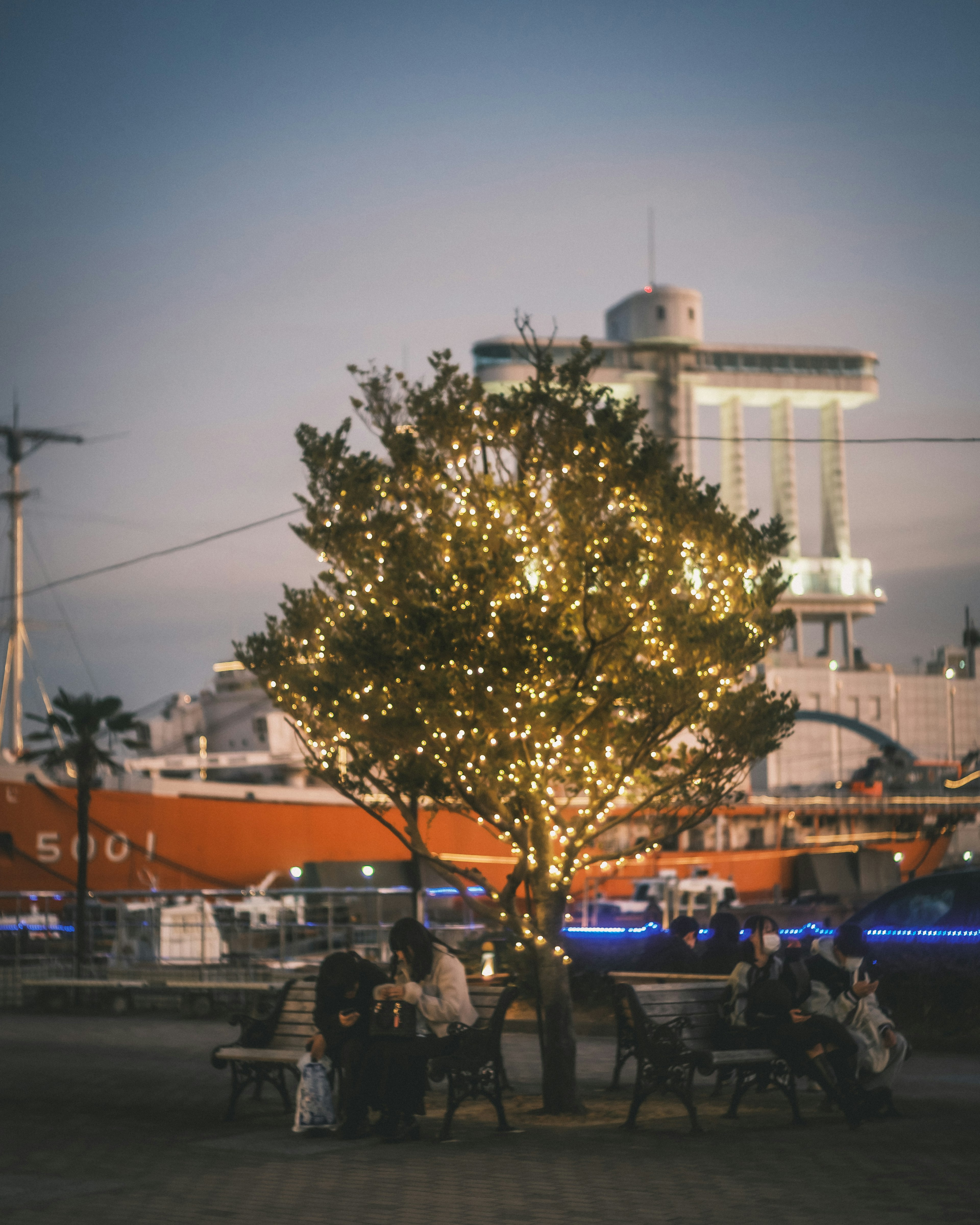 Arbre illuminé avec des gens assis sur des bancs devant un bateau et le front de mer