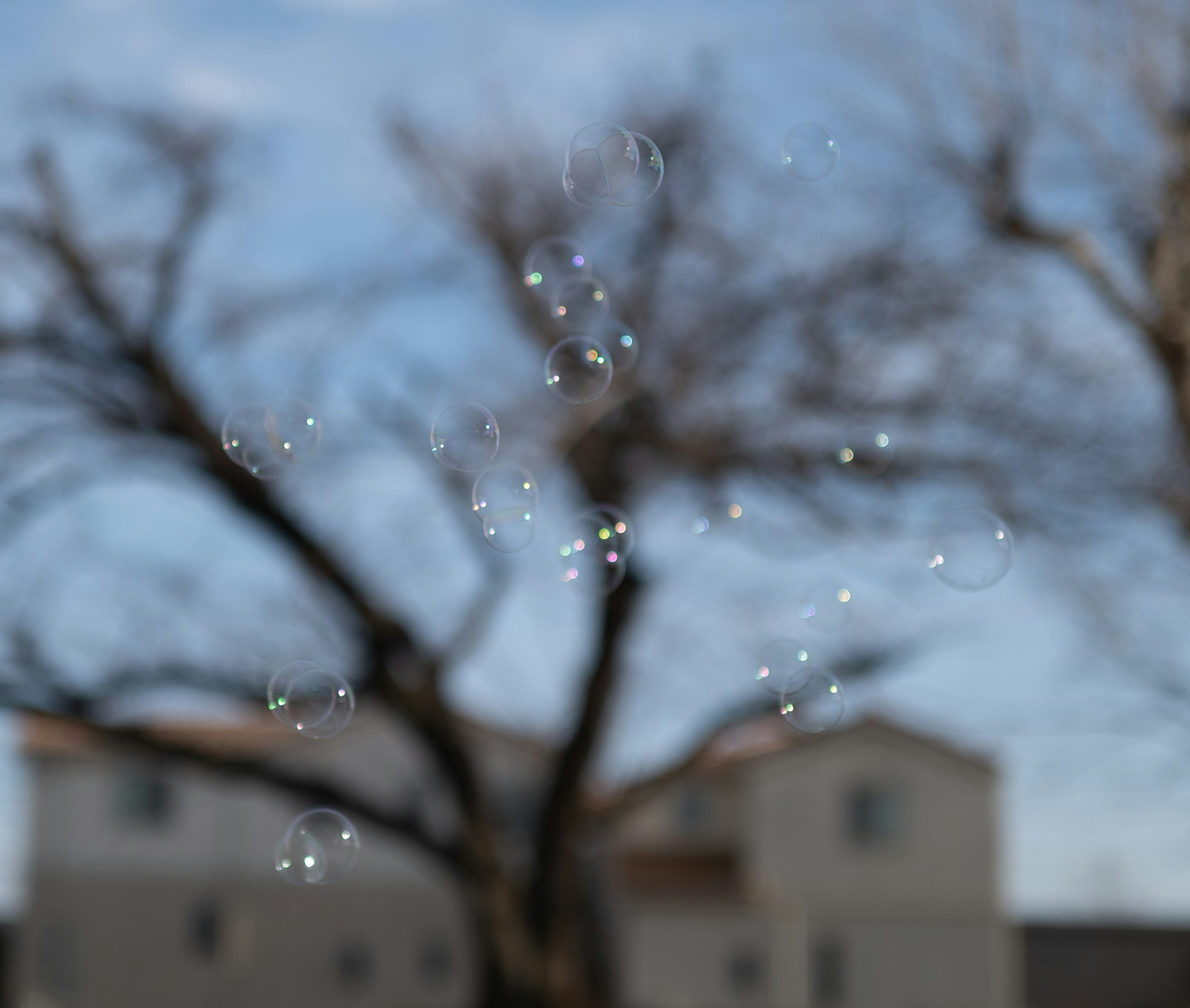 青空の下で泡が浮かぶ様子と背景にある木々