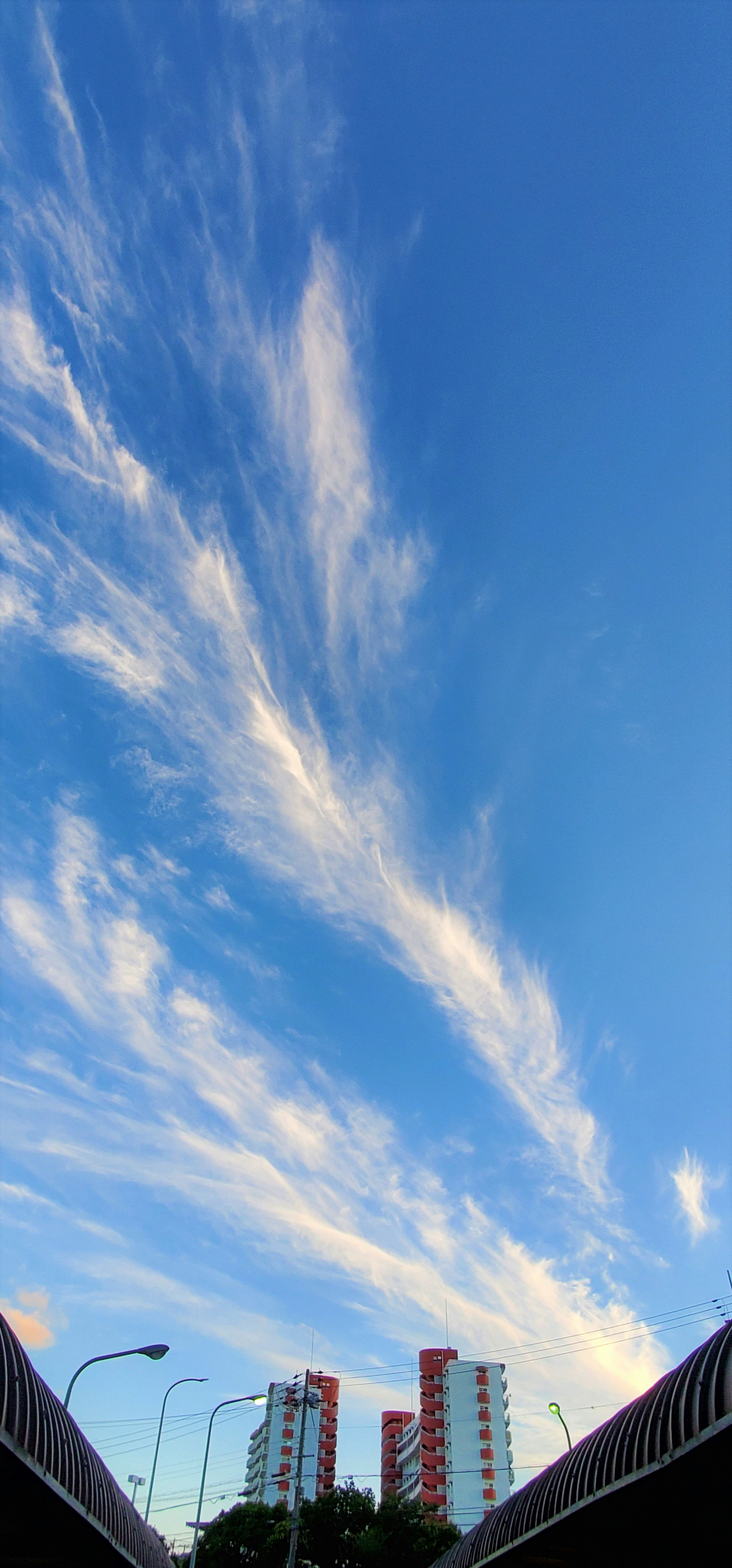 Une vue d'un ciel bleu avec des nuages filandreux et des immeubles