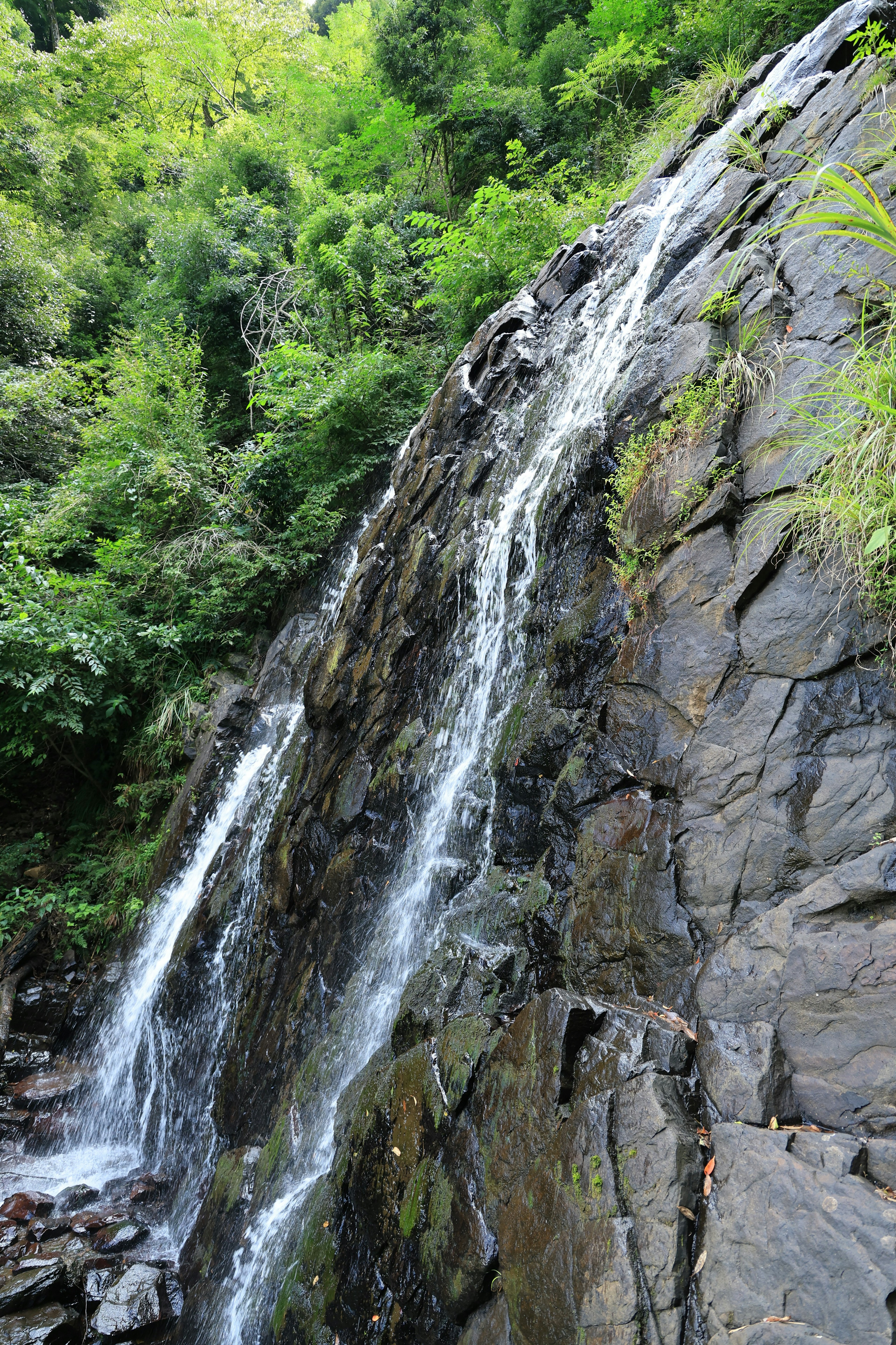 Une cascade tombant sur un terrain rocheux entouré de verdure luxuriante