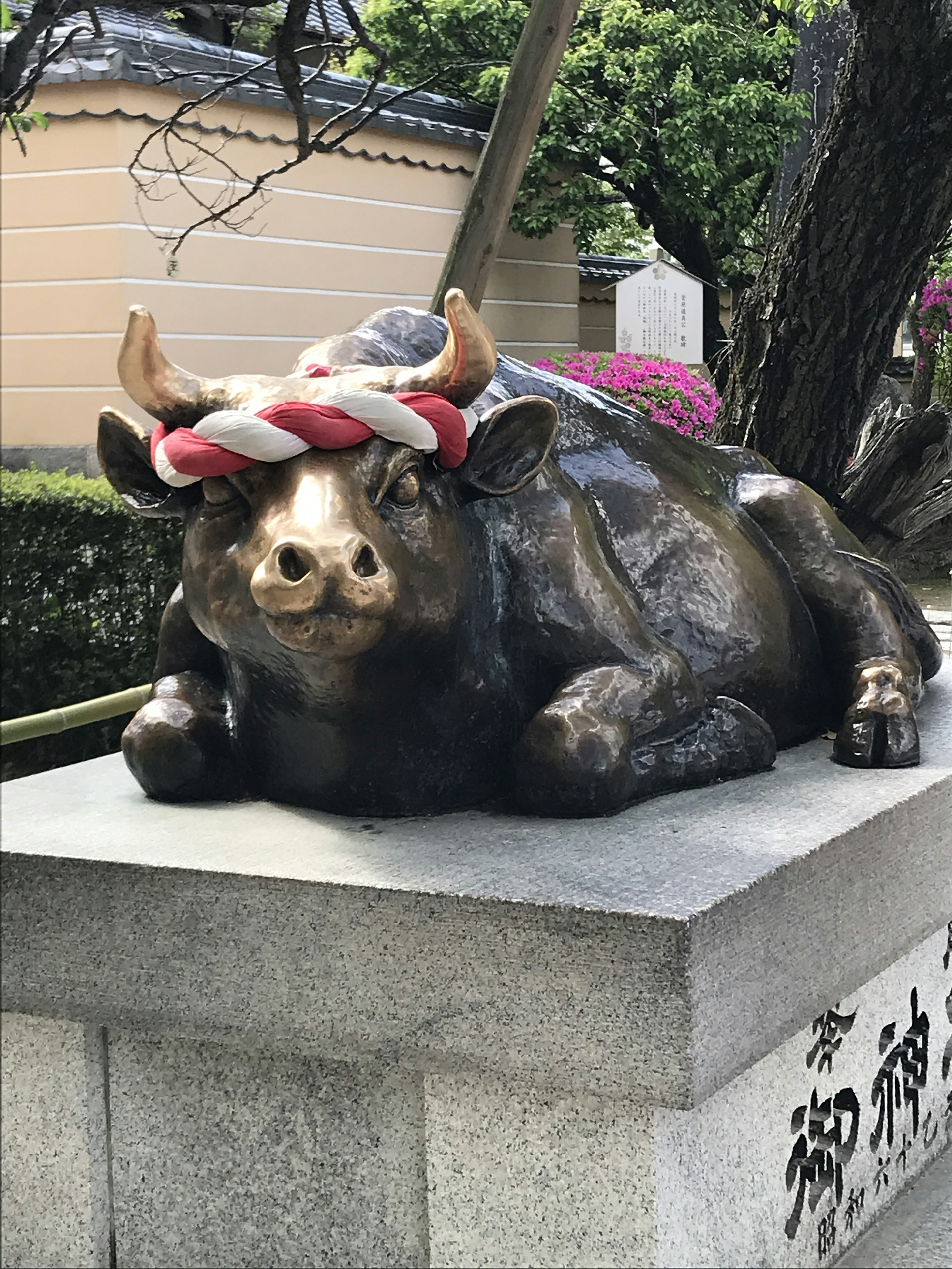 Estatua de bronce de un toro acostado con una banda decorativa roja y blanca