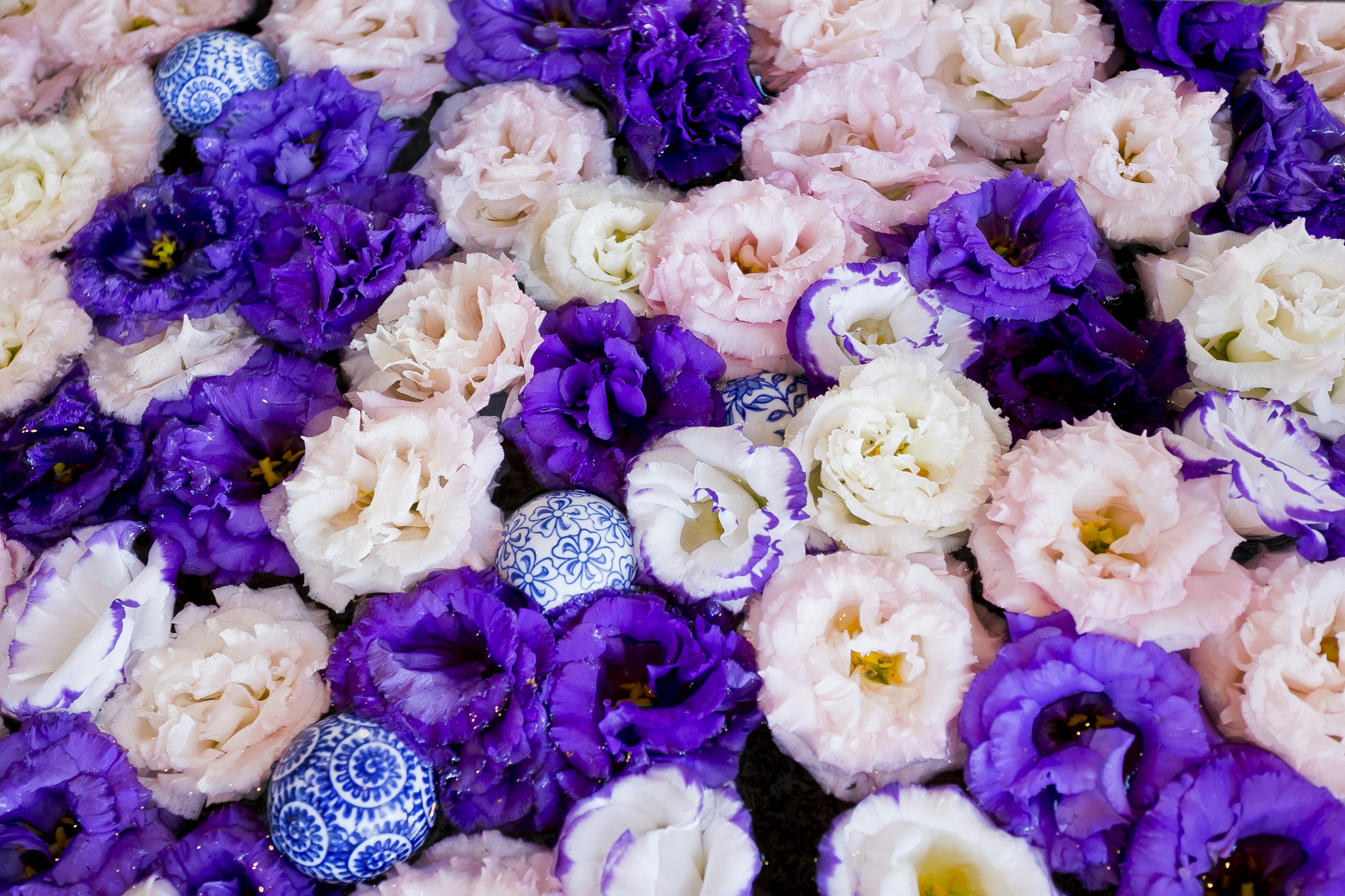 Un hermoso arreglo de flores moradas y rosas con esferas decorativas