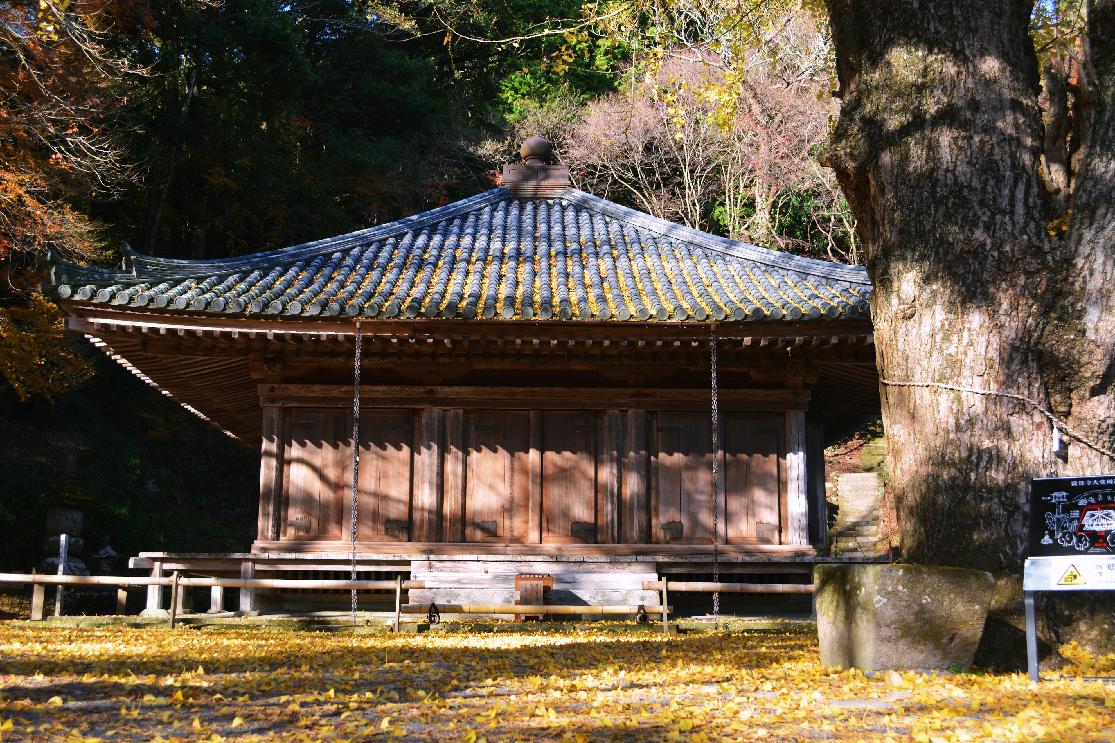 秋の紅葉に囲まれた伝統的な日本の建物