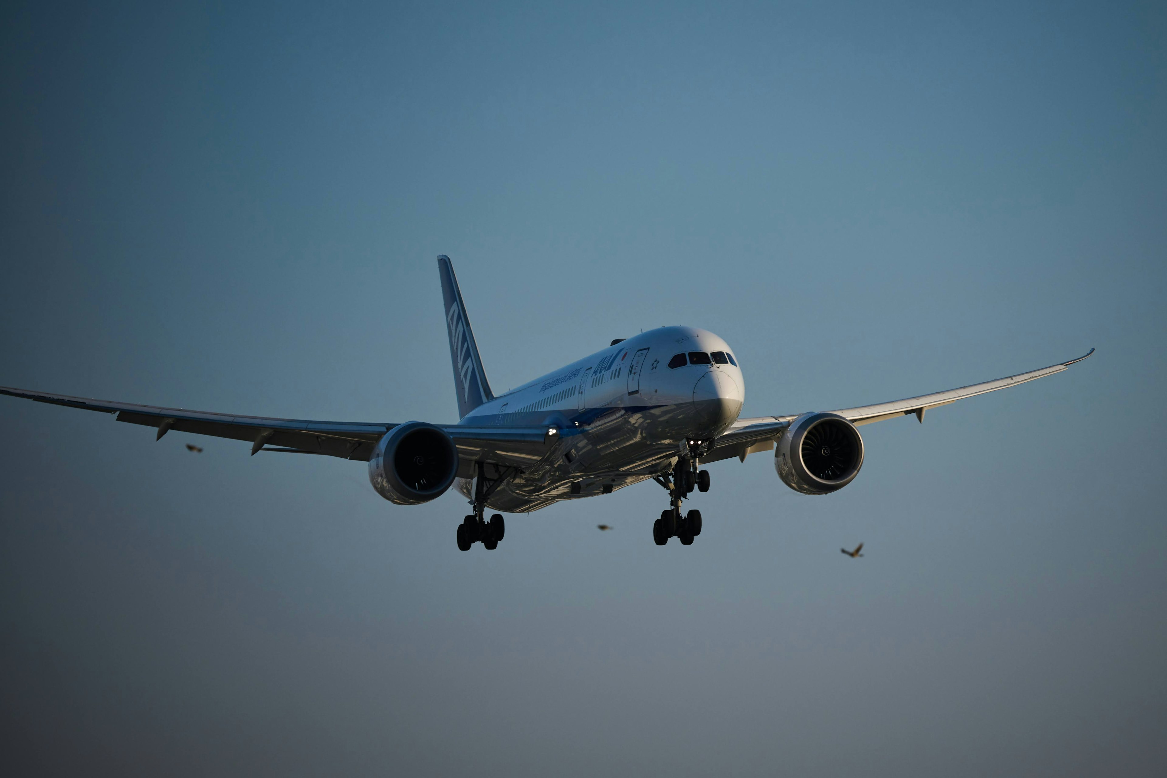 Flugzeug landet gegen einen klaren blauen Himmel