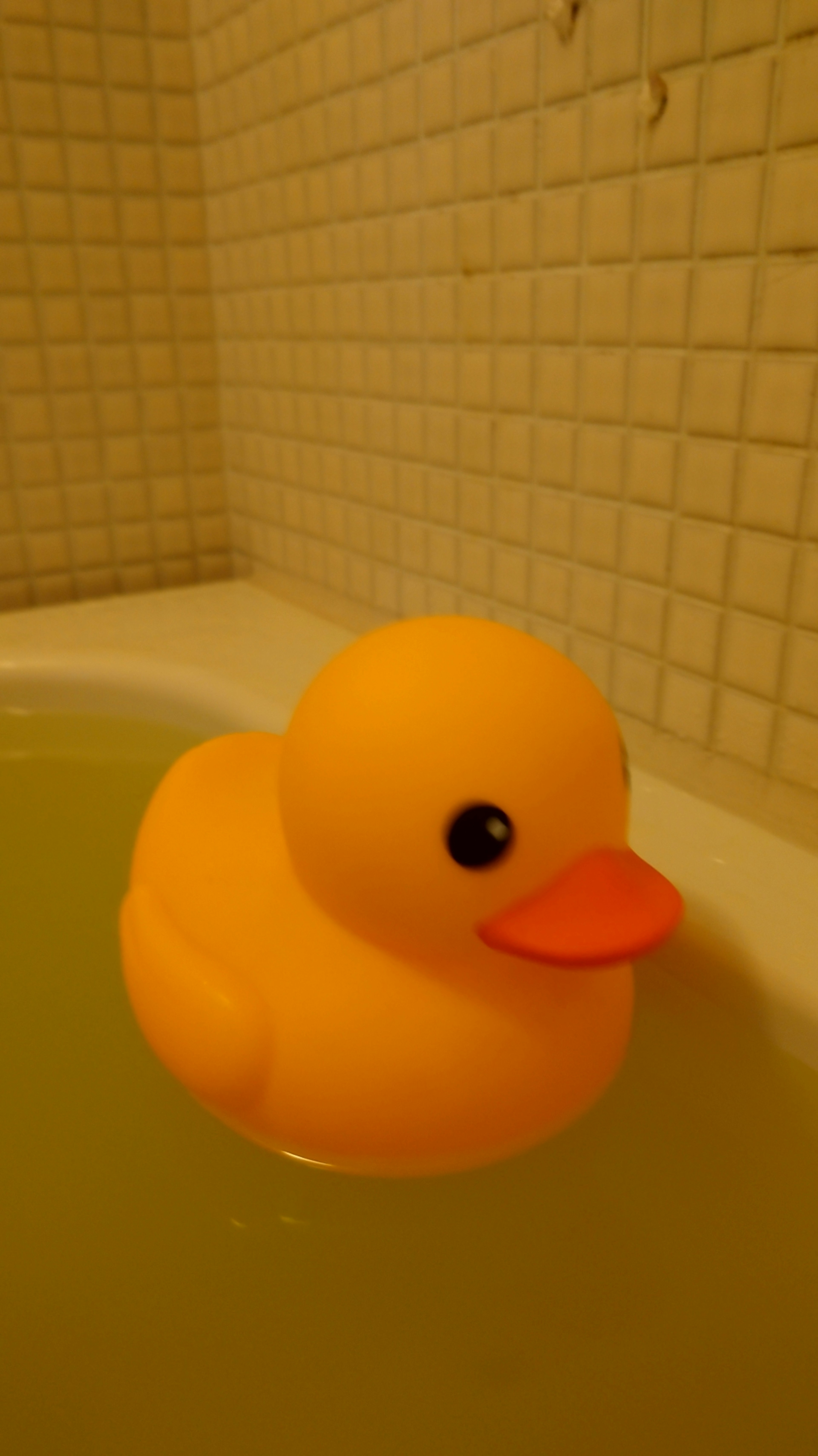 Canard en caoutchouc flottant dans une baignoire avec de l'eau jaune