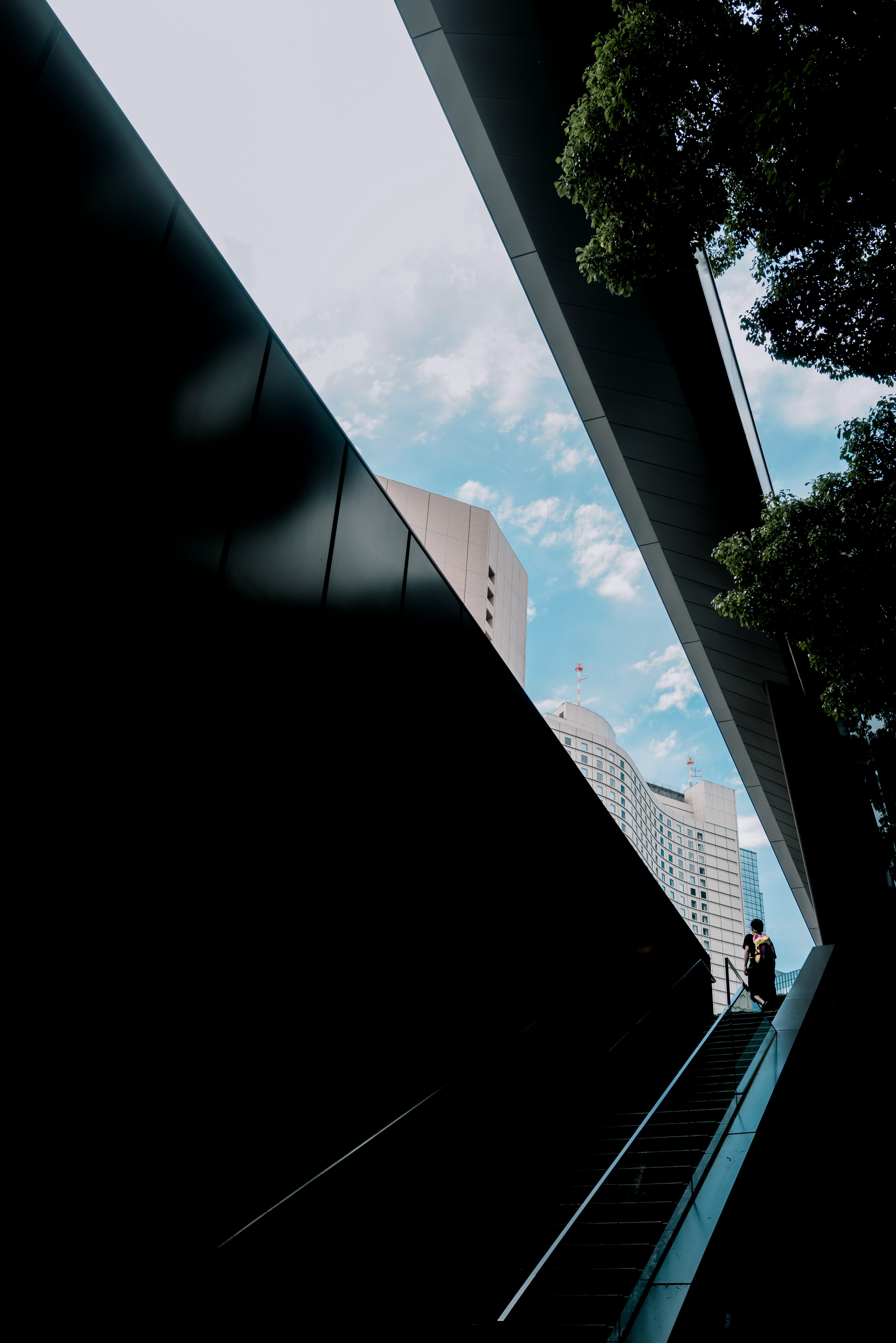 photo-M70wM4wMB5kGp2ggcgm0-image