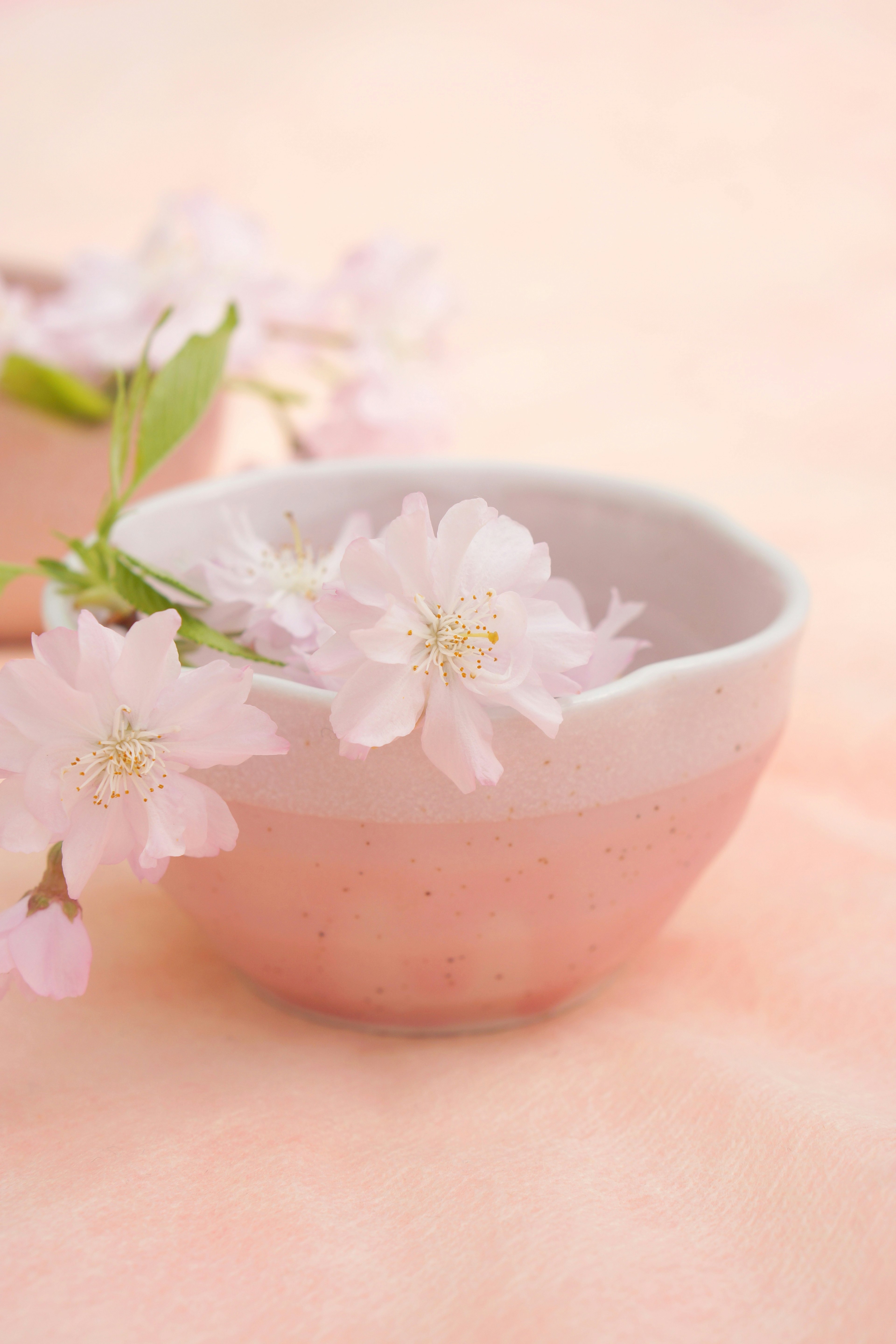 Uno sfondo rosa morbido con fiori di ciliegio e una ciotola in ceramica