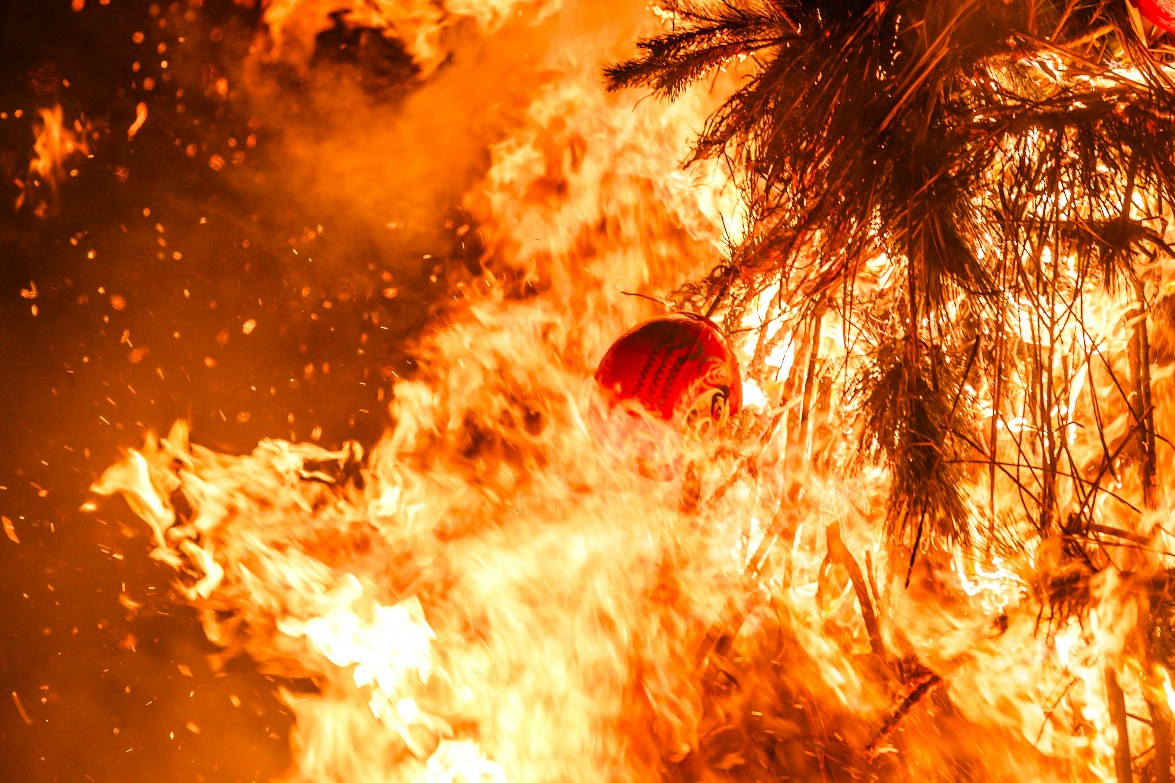 Close-up of a tree engulfed in flames with a red ball visible