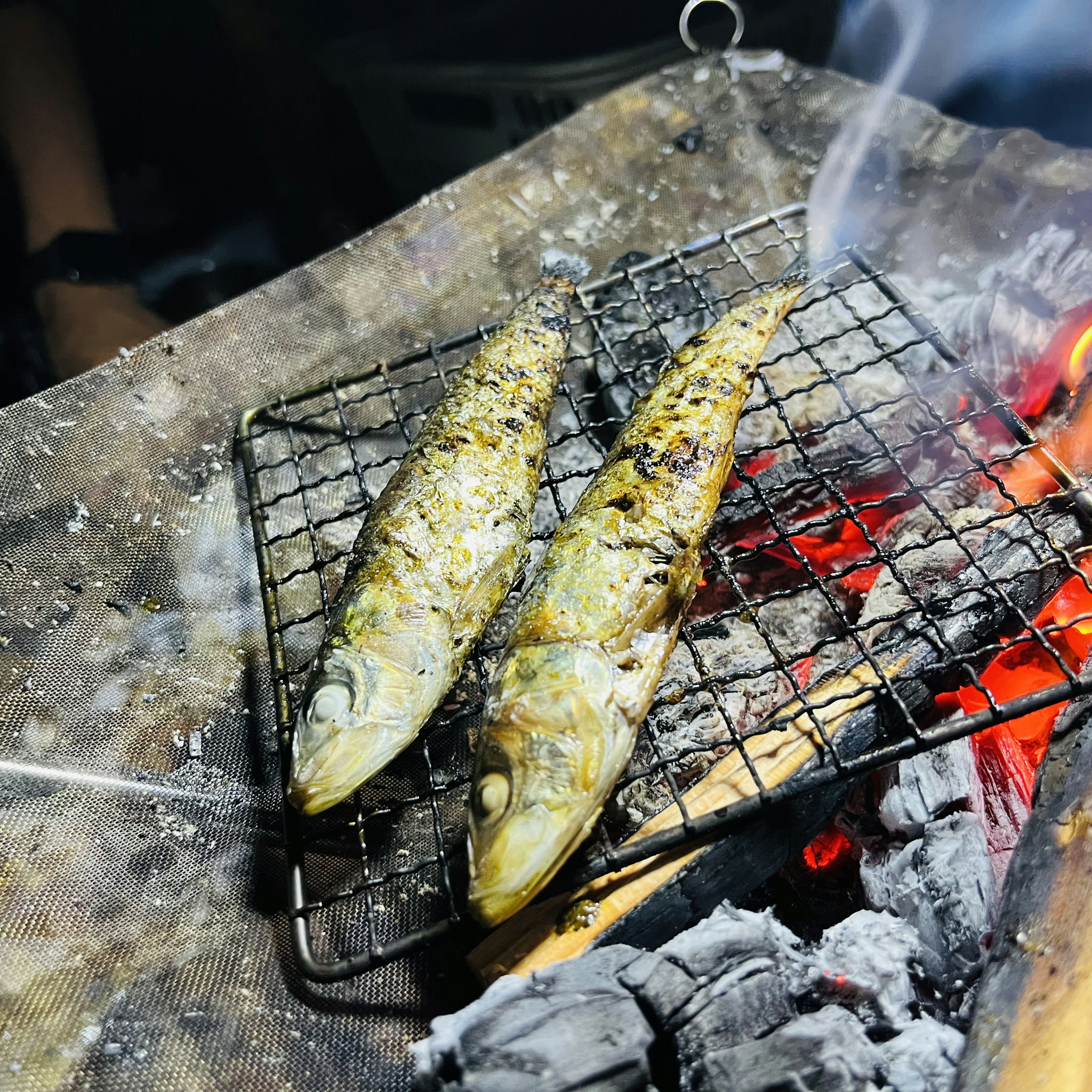 炭火で焼かれている魚の串焼きが網の上に置かれています